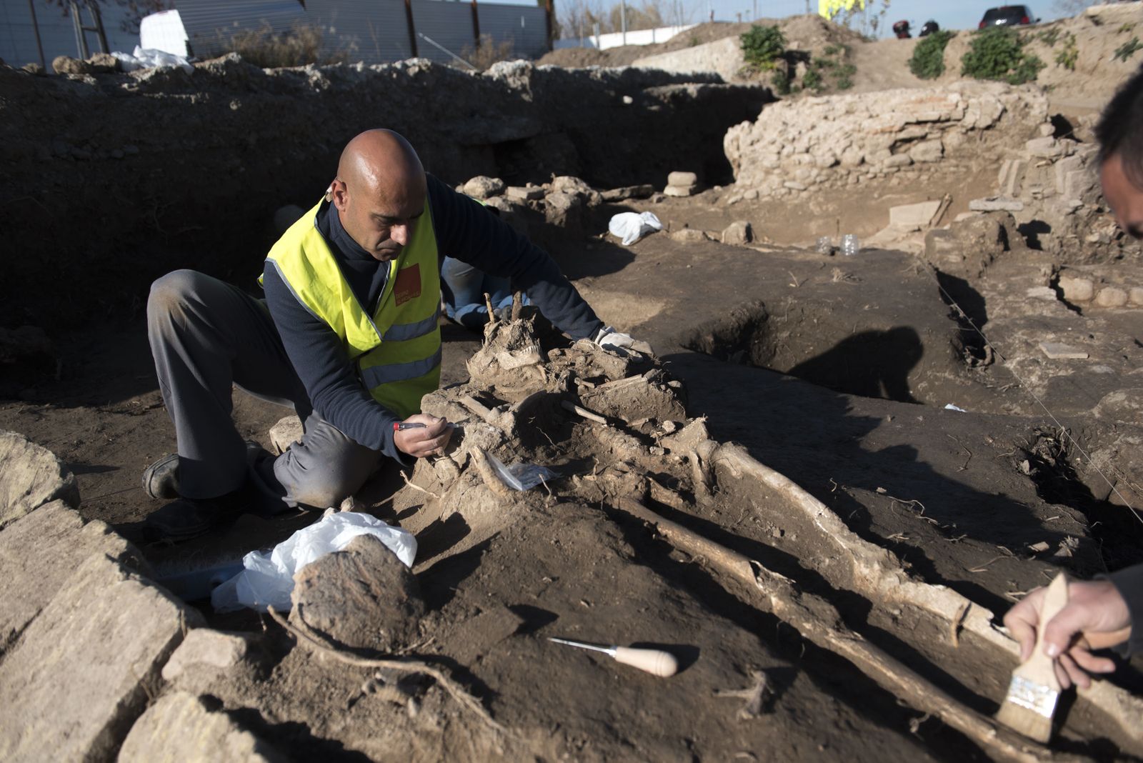 Nuevos hallazgos en Los Mondragones