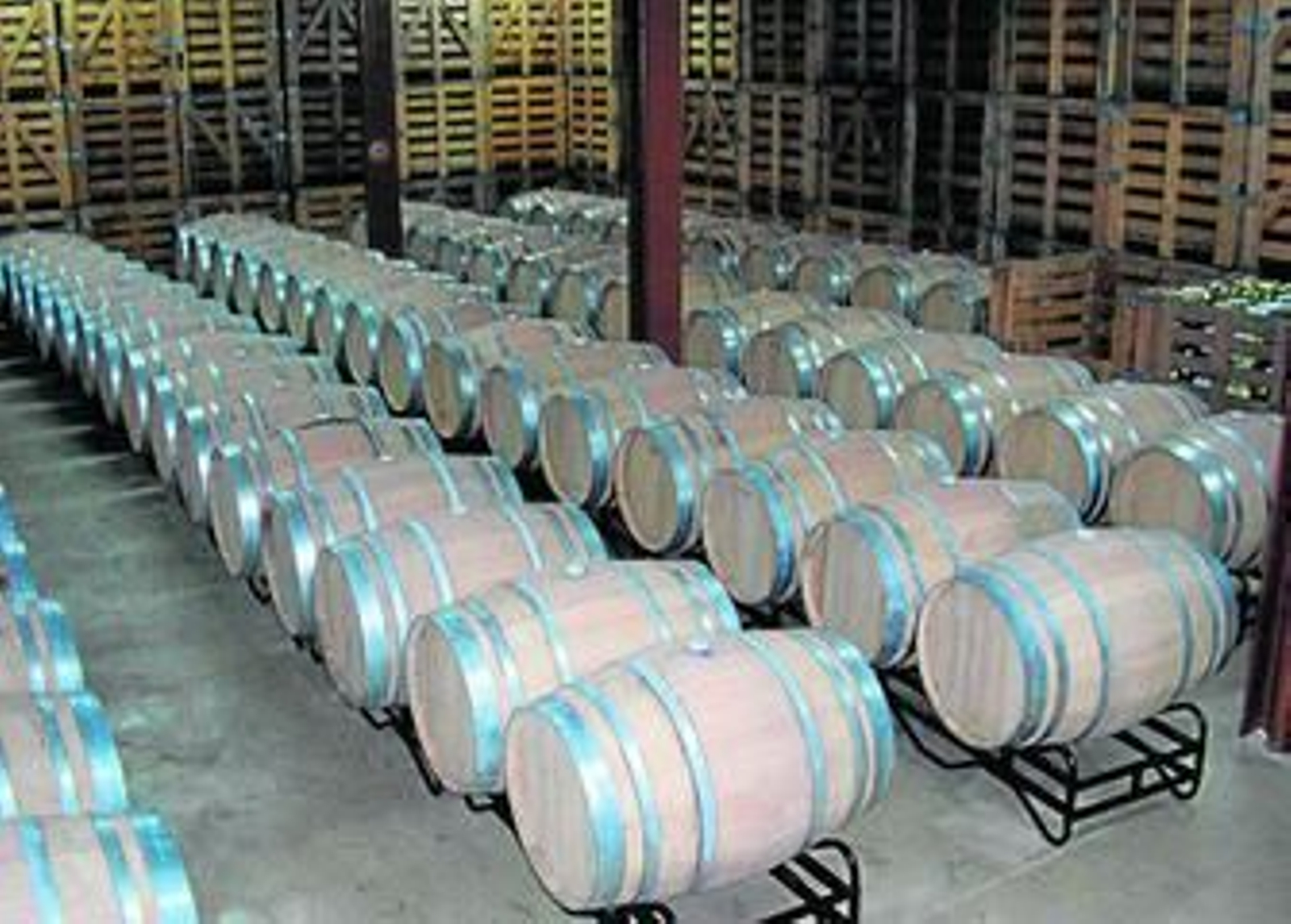 1. Sala de crianza de la bodega, situada en la Hoya de Baza, al pie de la sierra.   2. El viñedo de Jabalcón se encuentra repartido en Caniles, Zújar, Cúllar y Baza. 3. Andrés Espíndola, Mariola Sánchez y Freddy Valda. 4. Los vinos de Bodegas Jabalcón están marcados por la altitud a la que se encuentran sus viñedos.