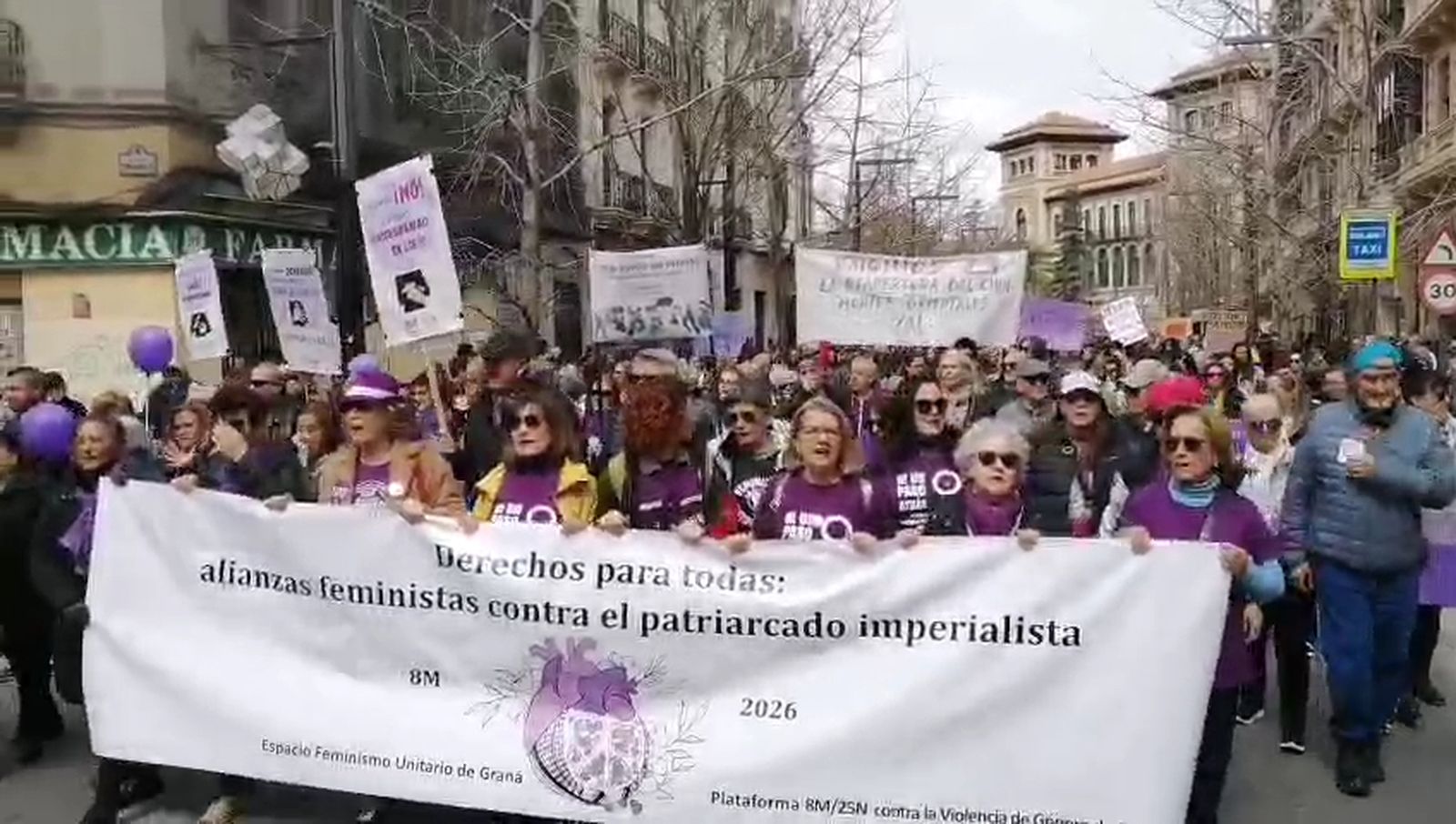La manifestación del 8-M recorre las calles del Centro de Granada