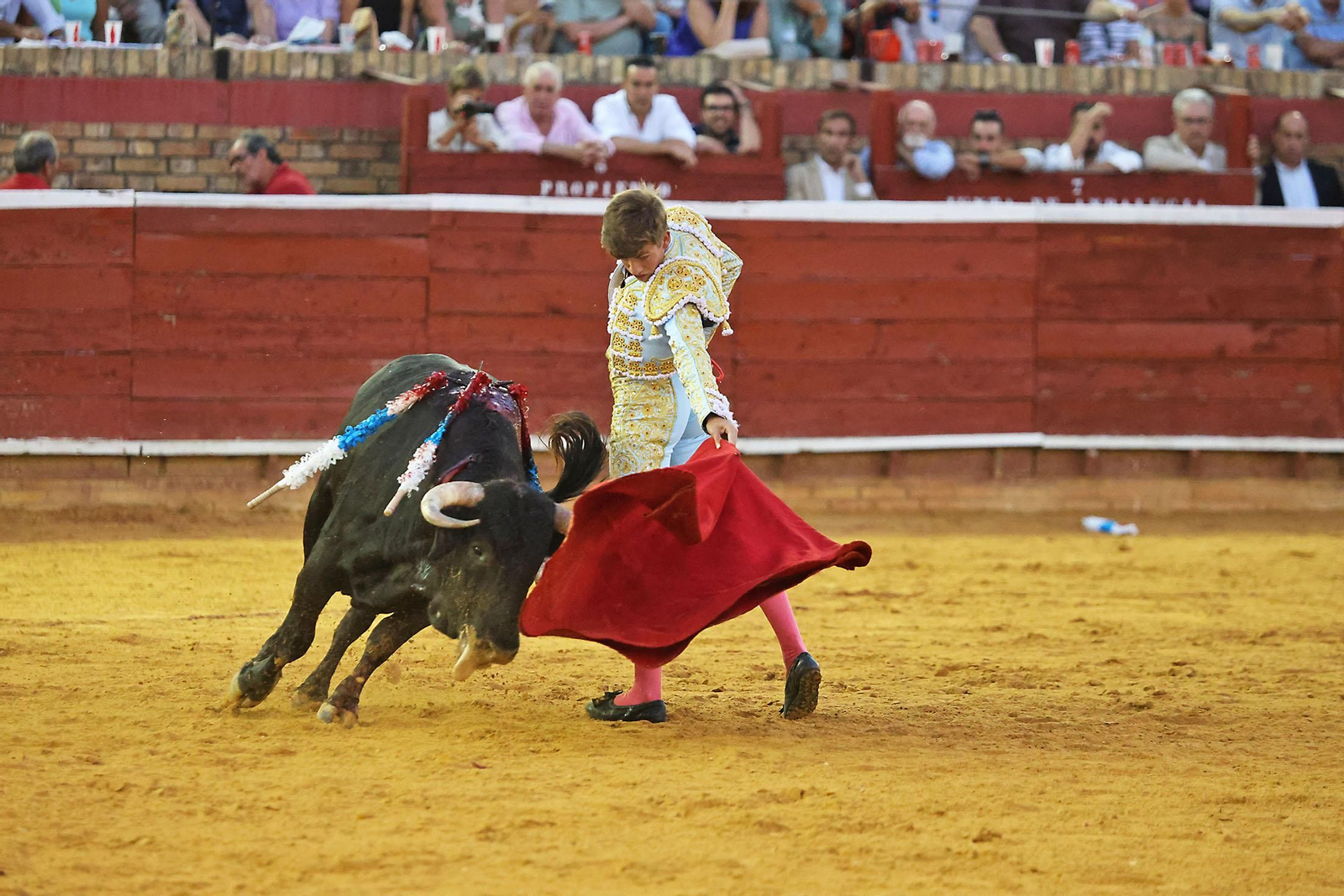 Toros La Merced 2024 Novillada con picadores(