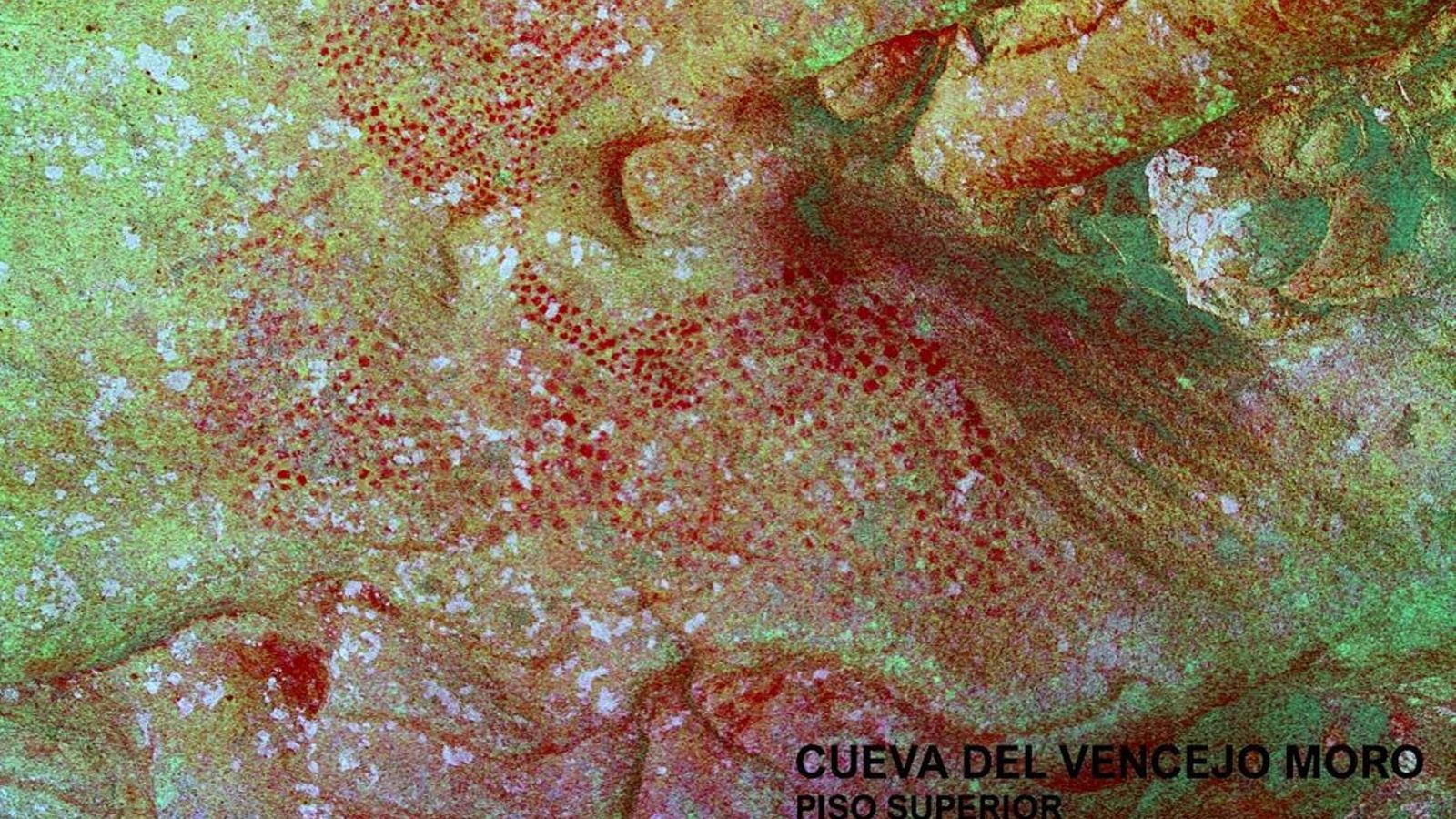 Puntuaciones del piso superior, cueva del Vencejo Moro, Tarifa (Cádiz).