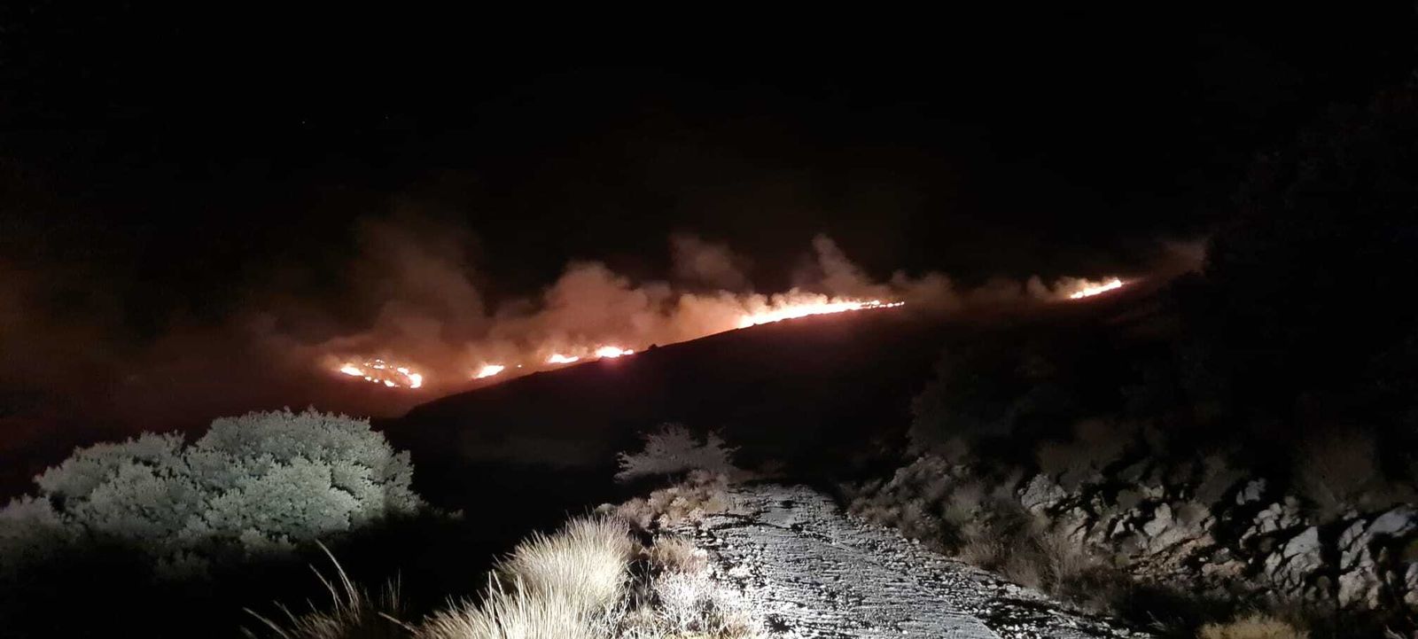 Así ha sido la lucha nocturna contra las llamas en el incendio forestal de la Sierra de Arana