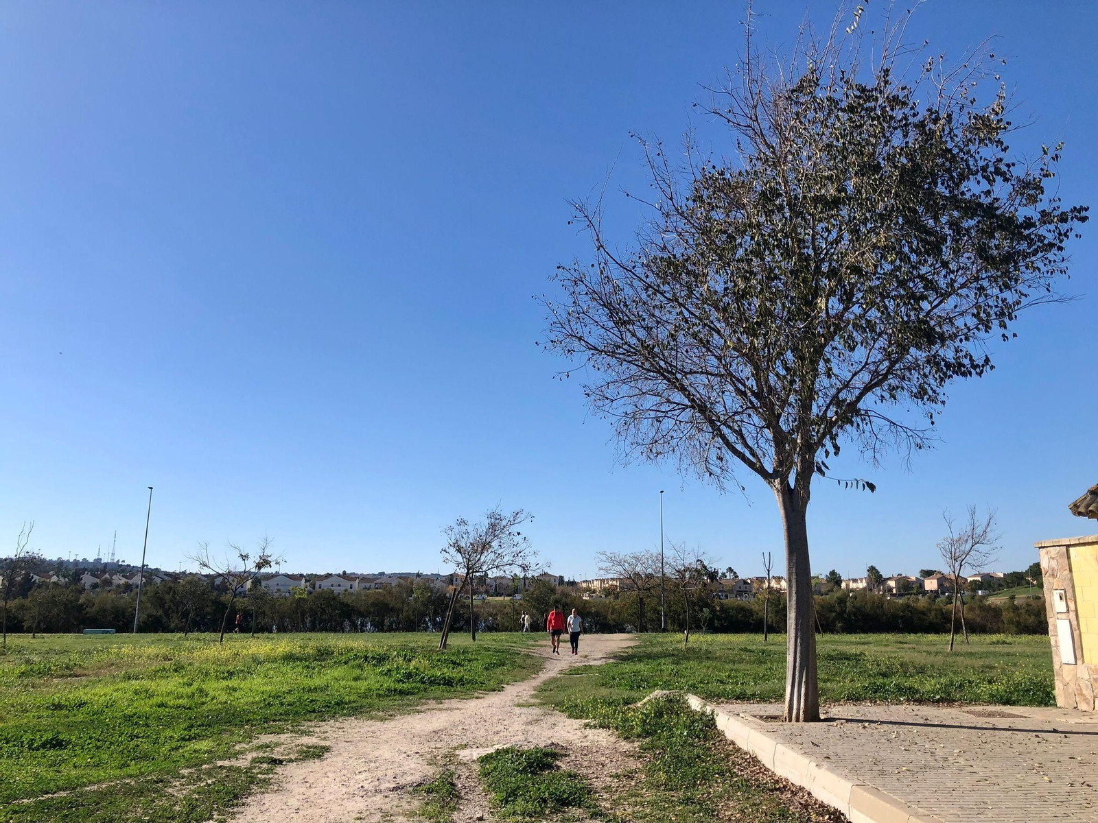 La Laguna de Torrox de Jerez: un paseo ideal para los amantes del aire libre
