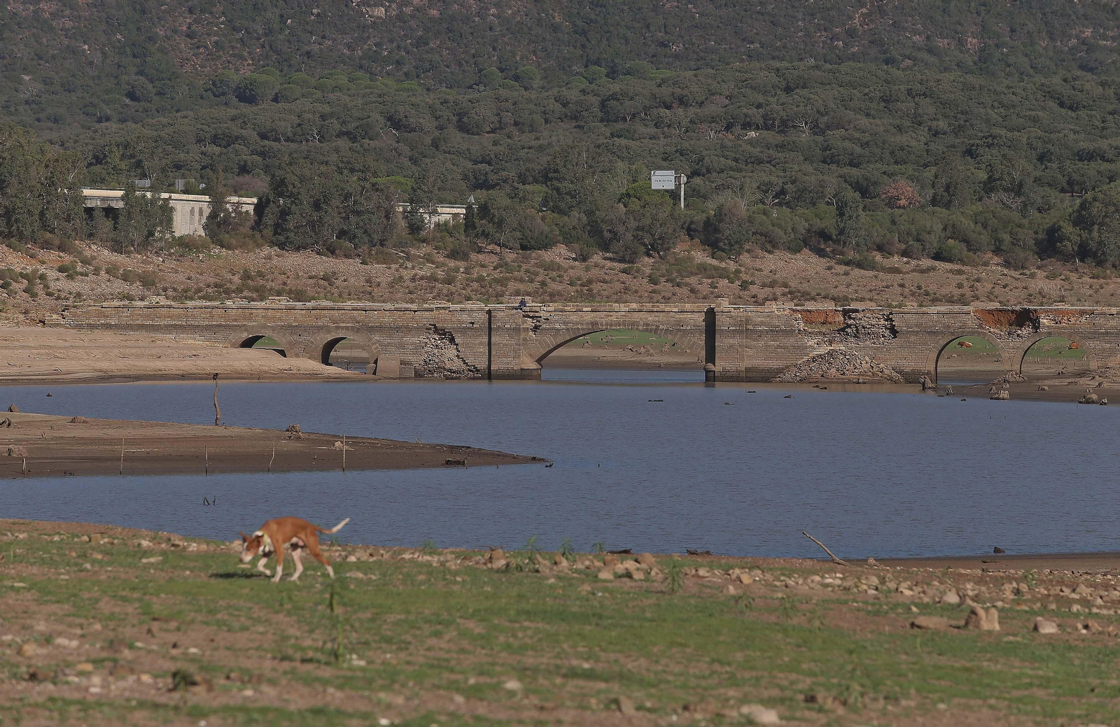 Imágenes del pantano de Charco Redondo en Los Barrios