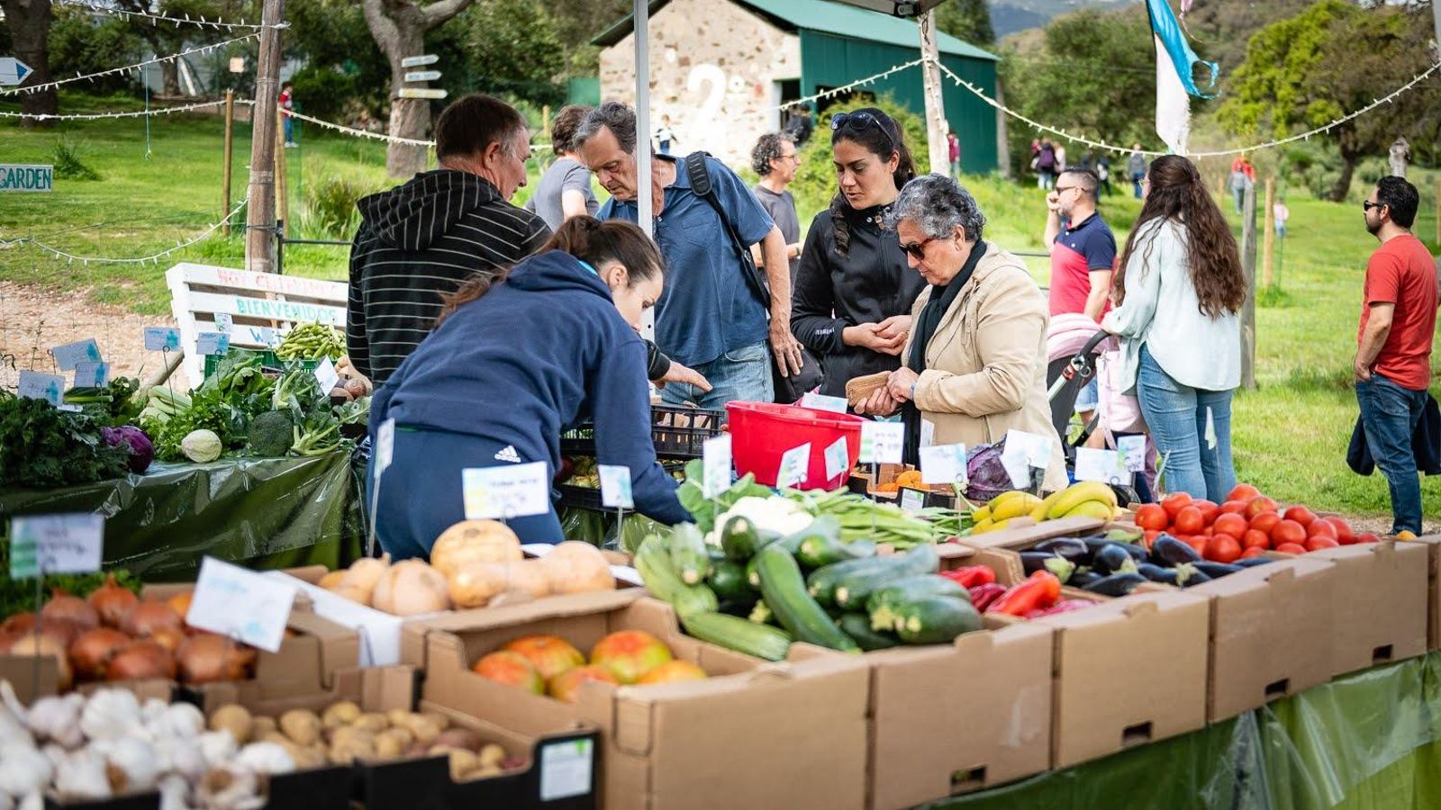 Puesto de hortalizas.
