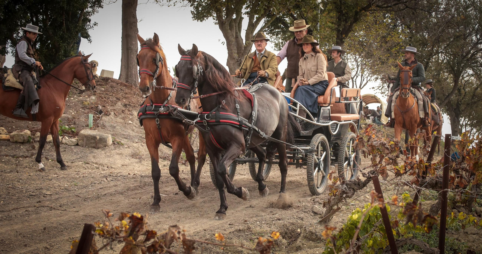 Búscate en la III Ruta Viñas de Jerez de Enganches