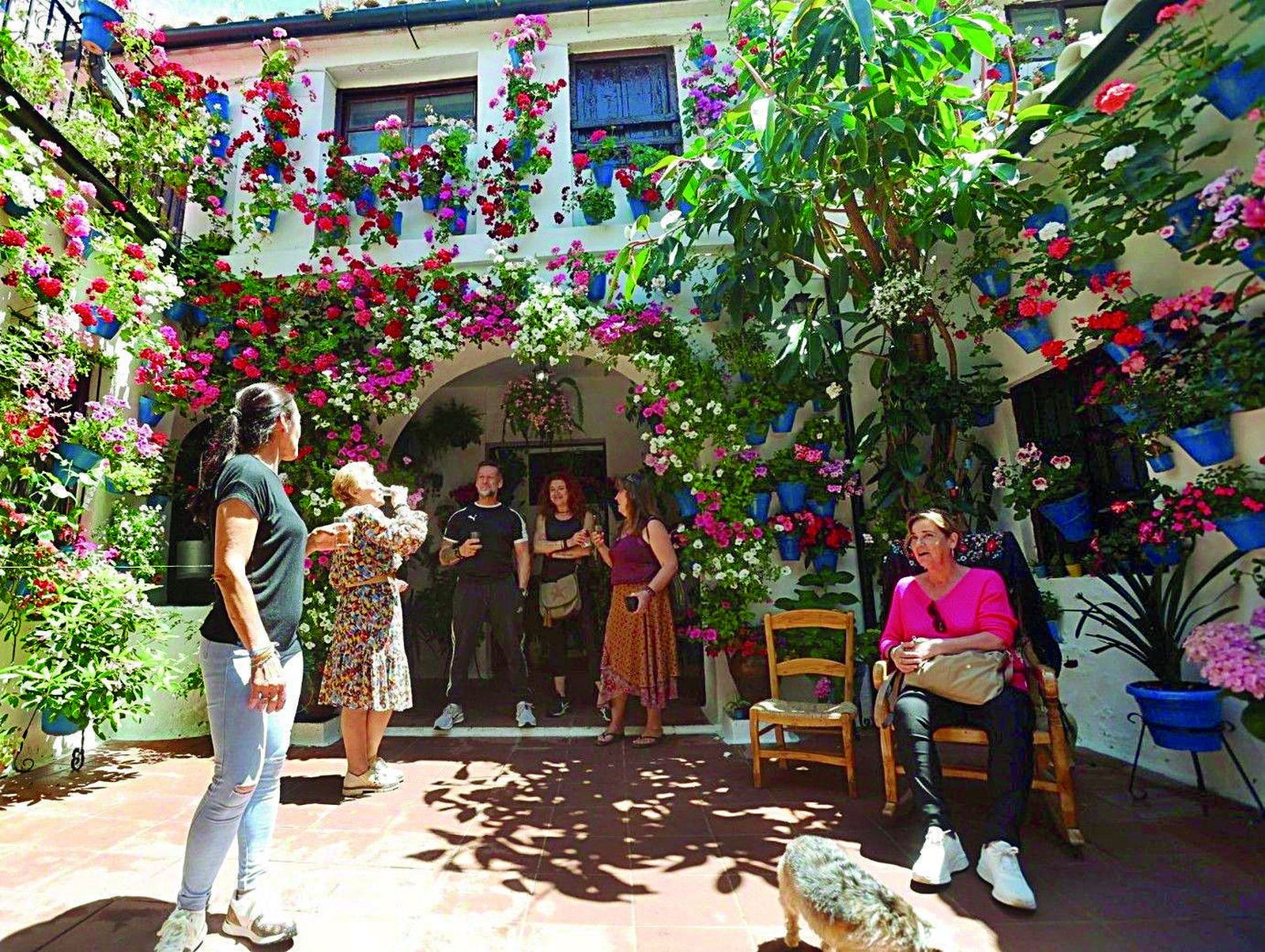 Guía de los Patios: Tinte, 9