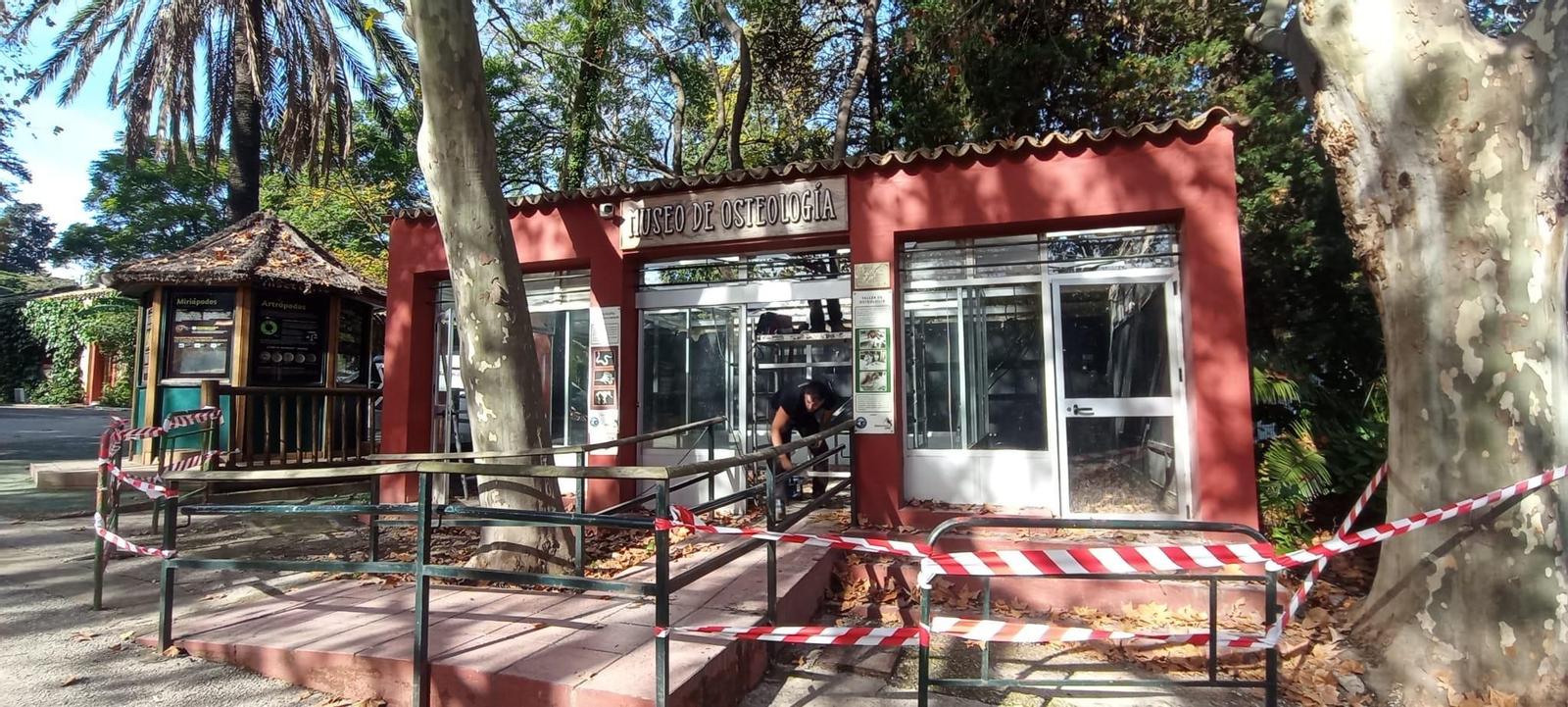 Una imagen del museo de osteología.