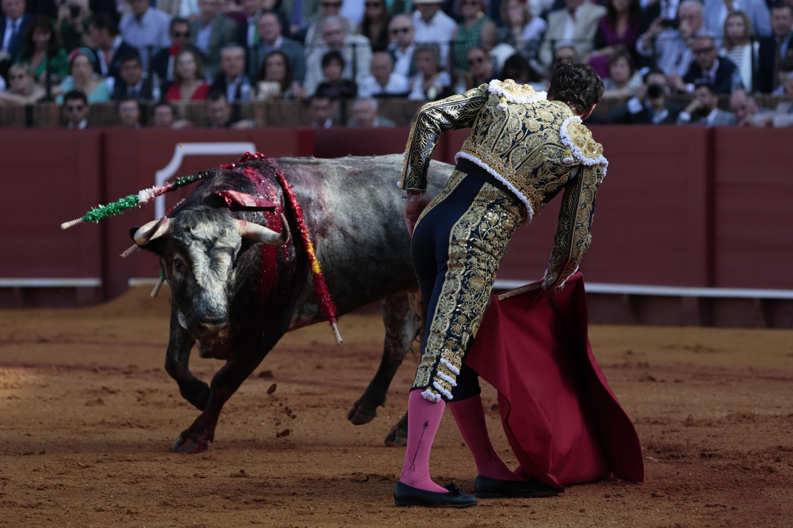 las imágenes del festejo