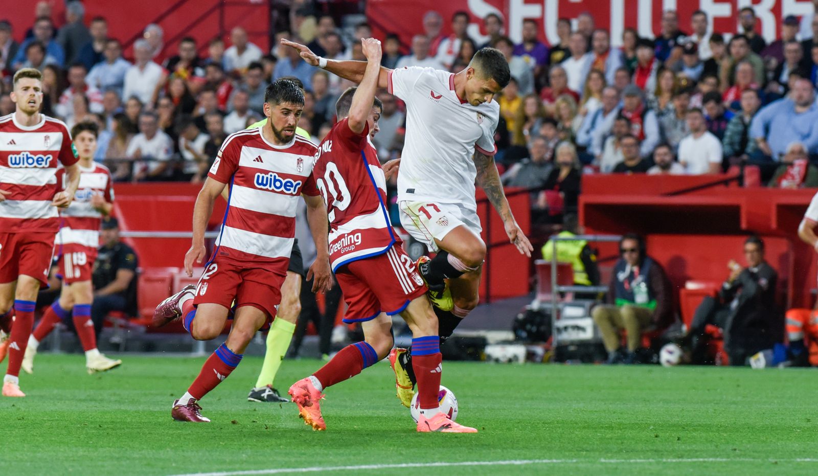 Las imágenes del Sevilla FC - Granada CF
