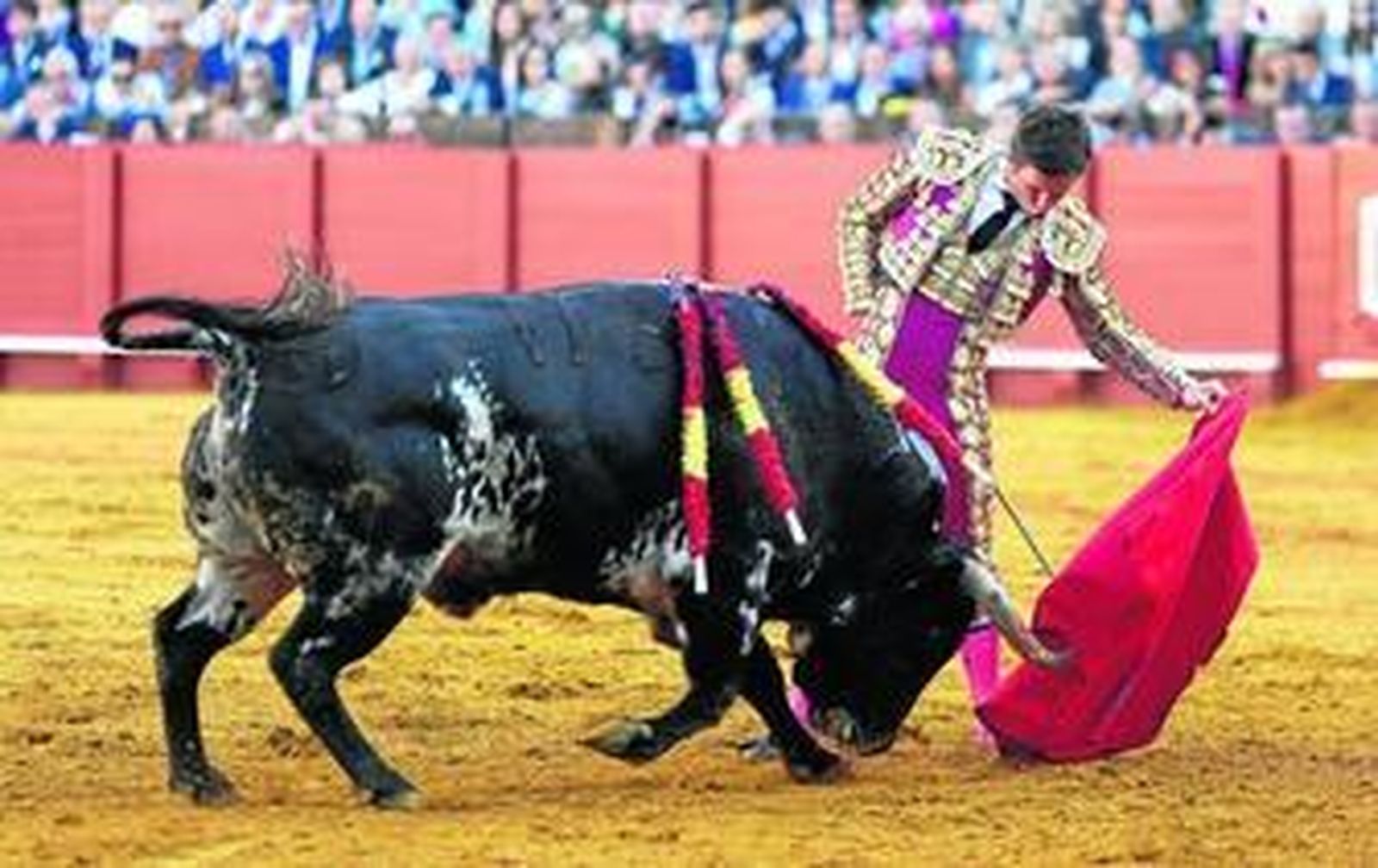 El Juli, en un natural mandón al segundo toro de la tarde, al que cortó la única oreja del festejo.