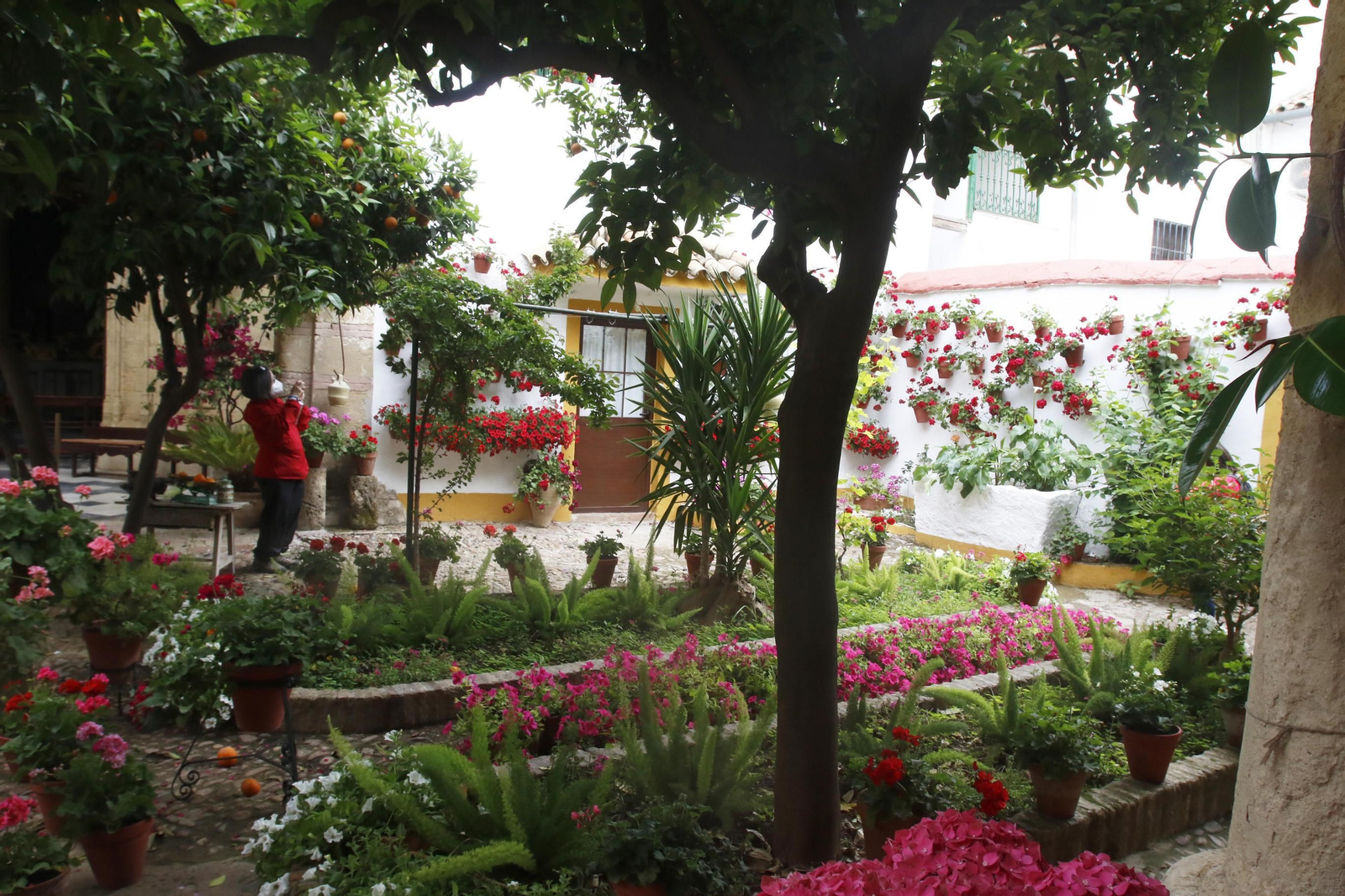 Patio de Santa Marta, 10