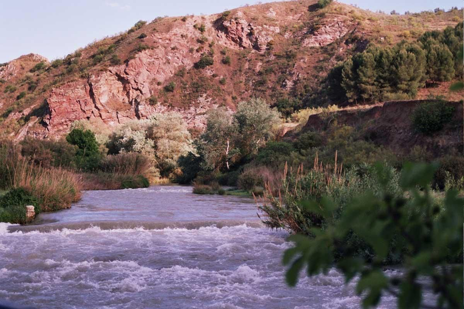 Río Genil a su paso por Palenciana