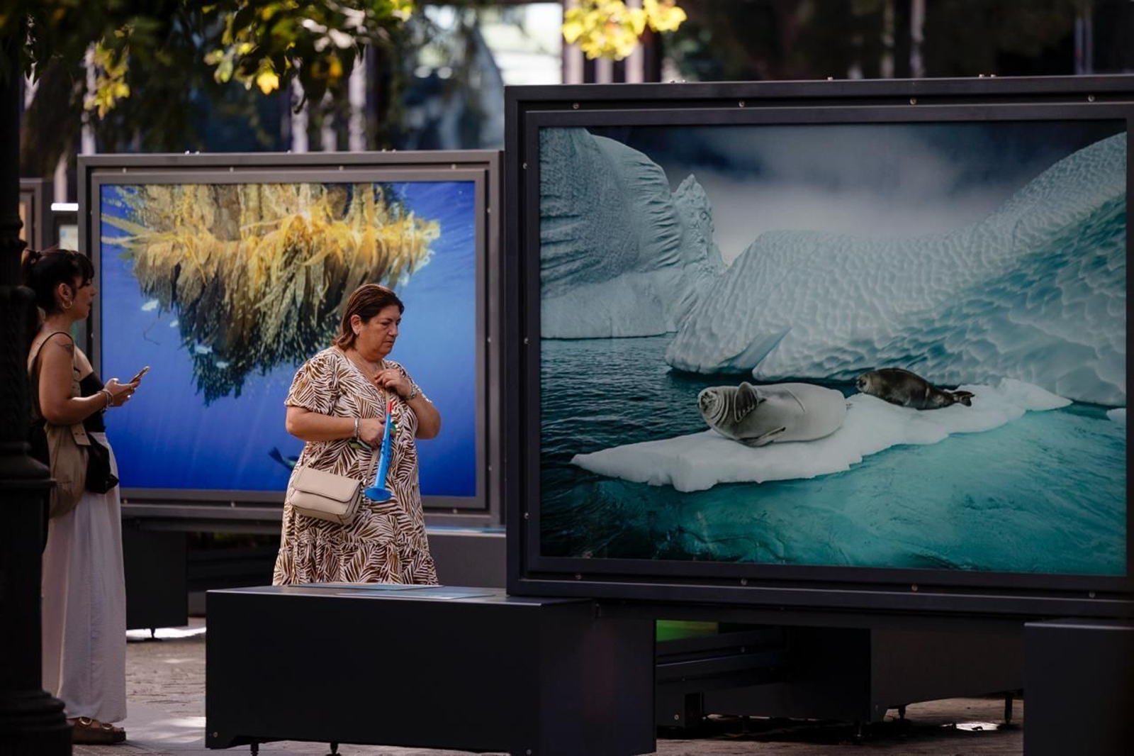 Imágenes de la exposición de National Geographic en Cádiz