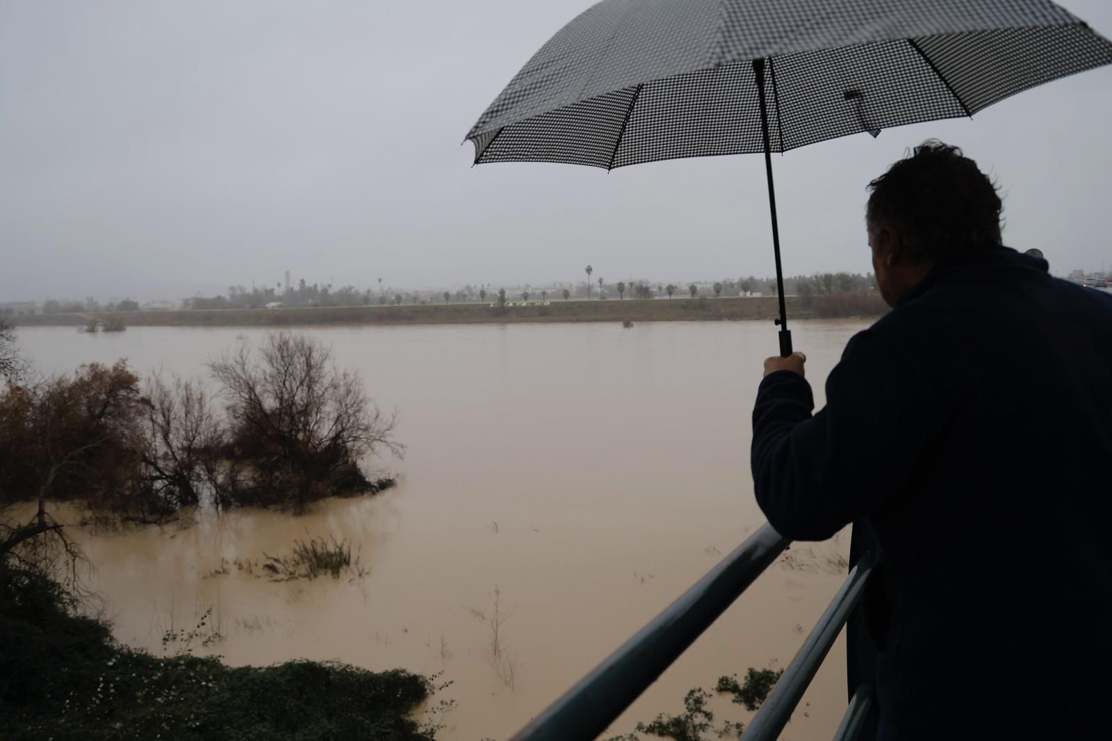 La borrasca Leonardo provoca un aumento del caudal de Gualdaquivir a su paso por Lora del Río