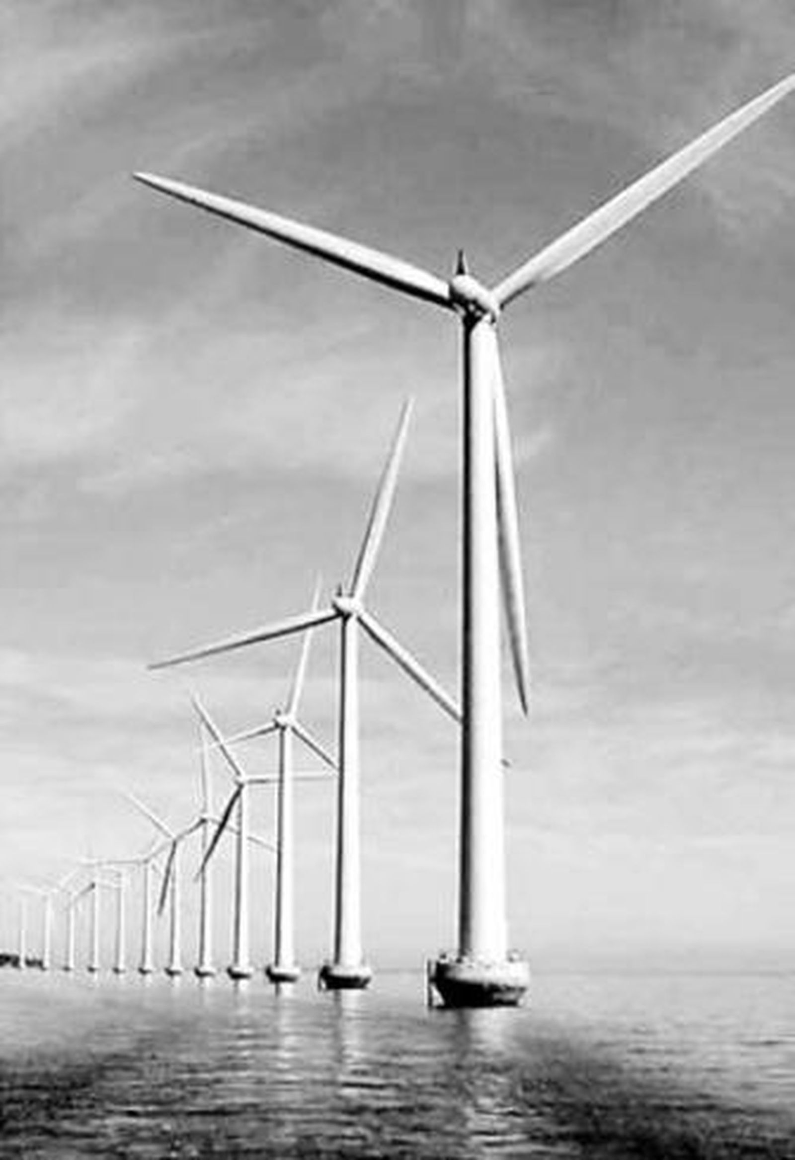 Simulación de un parque eólico marino.