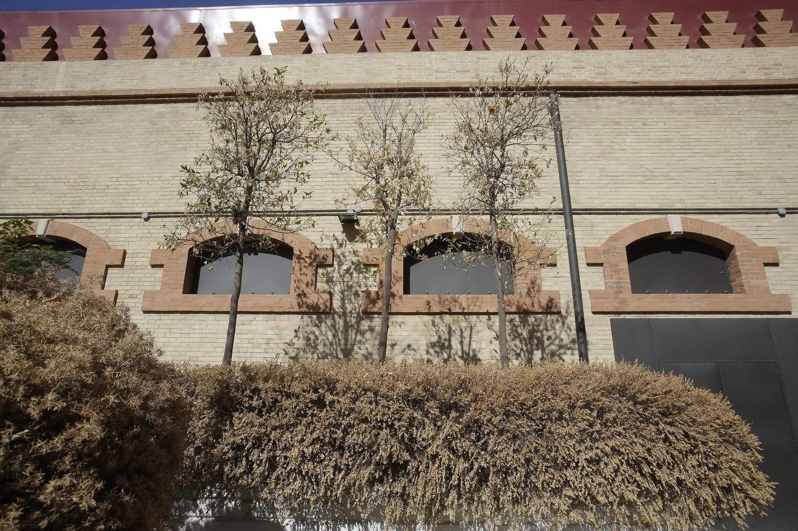 Abandono y mal estado de la plaza entre Mercadona y Plaza de Armas