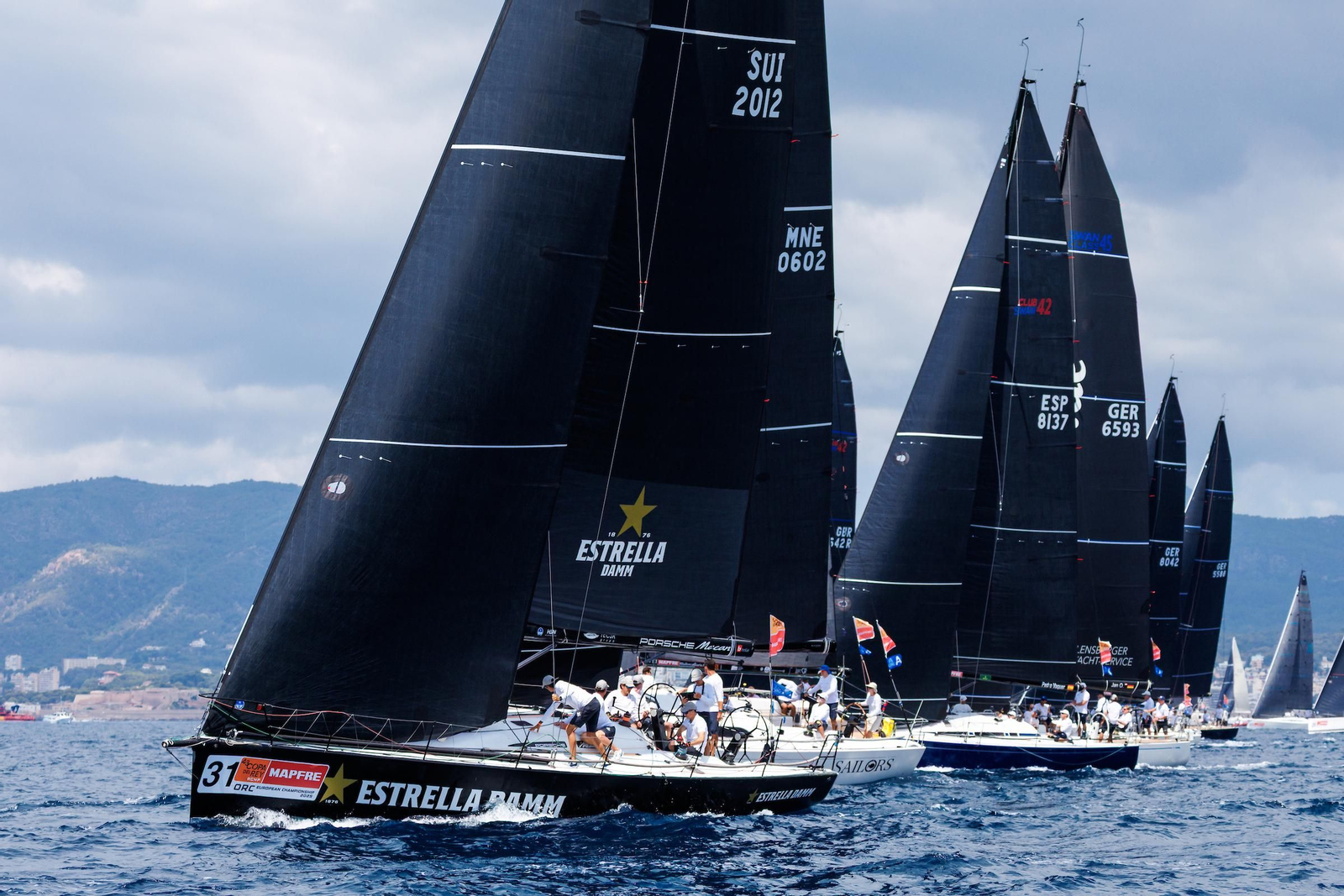 ORCA A Vela Regata (20).jpg