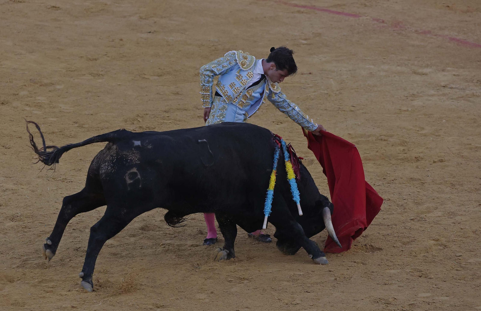 Fotos de la novillada sin picadores del miércoles de la Feria Real de Algeciras 2025
