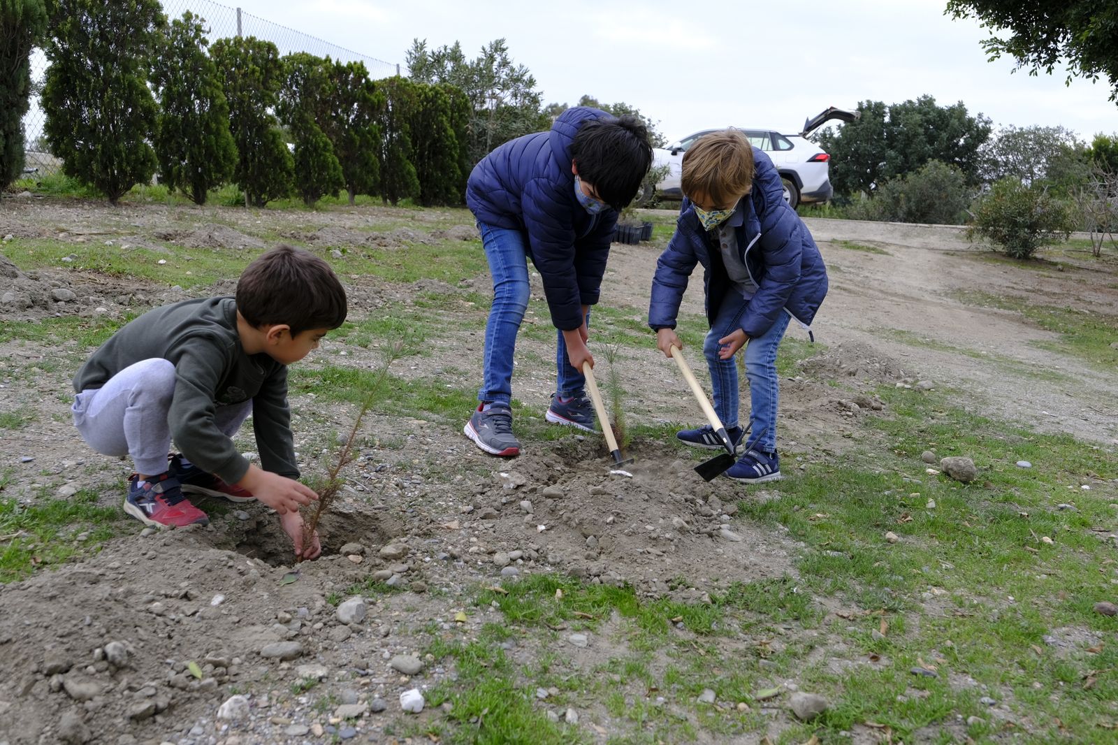Plantación de árboles en el Parque del Andarax. Día de Andalucía.