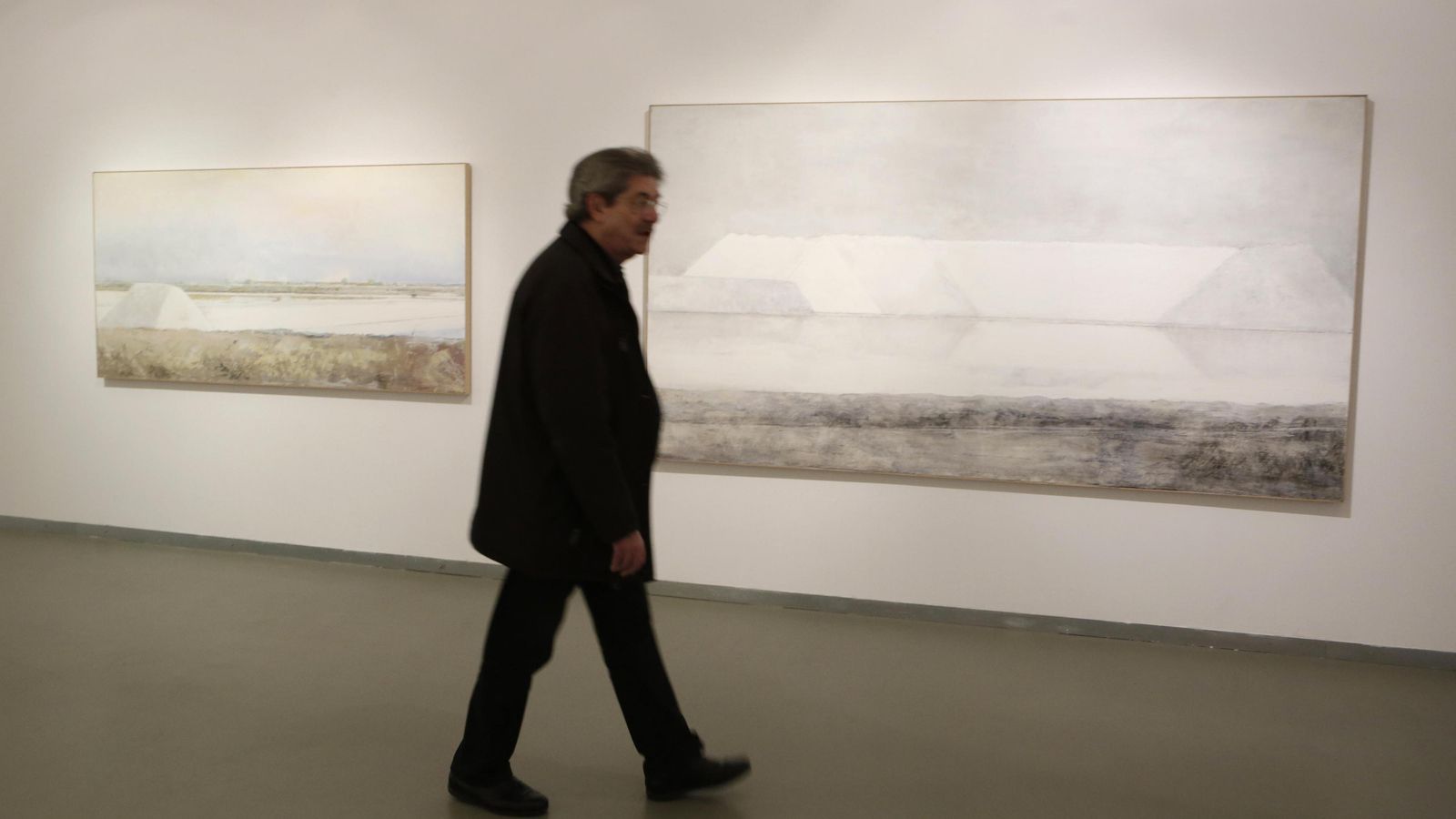 Bosco ante la serie 'La Sal' de Carmen Laffón en el CAAC.