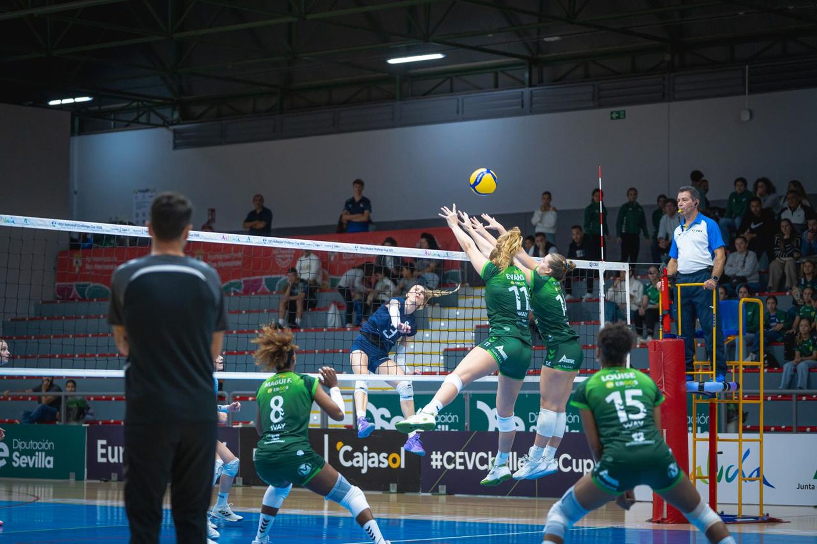 Las fotos del Fundación Cajasol Andalucía-Slovan Bratislava