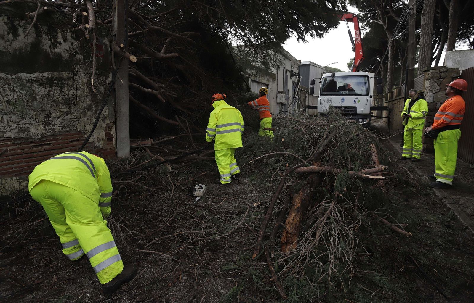 24 horas sin electricidad en la urbanización Los Pinos por árboles caídos tras la borrasca Kristin, en imágenes