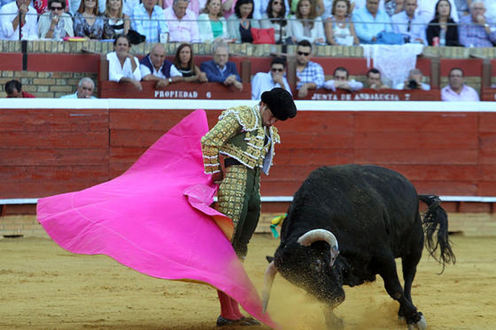 Foto: Alberto Domínguez