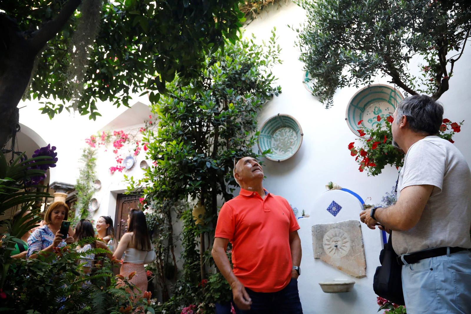 Los ganadores del Concurso de Patios de Córdoba 2023, en imágenes