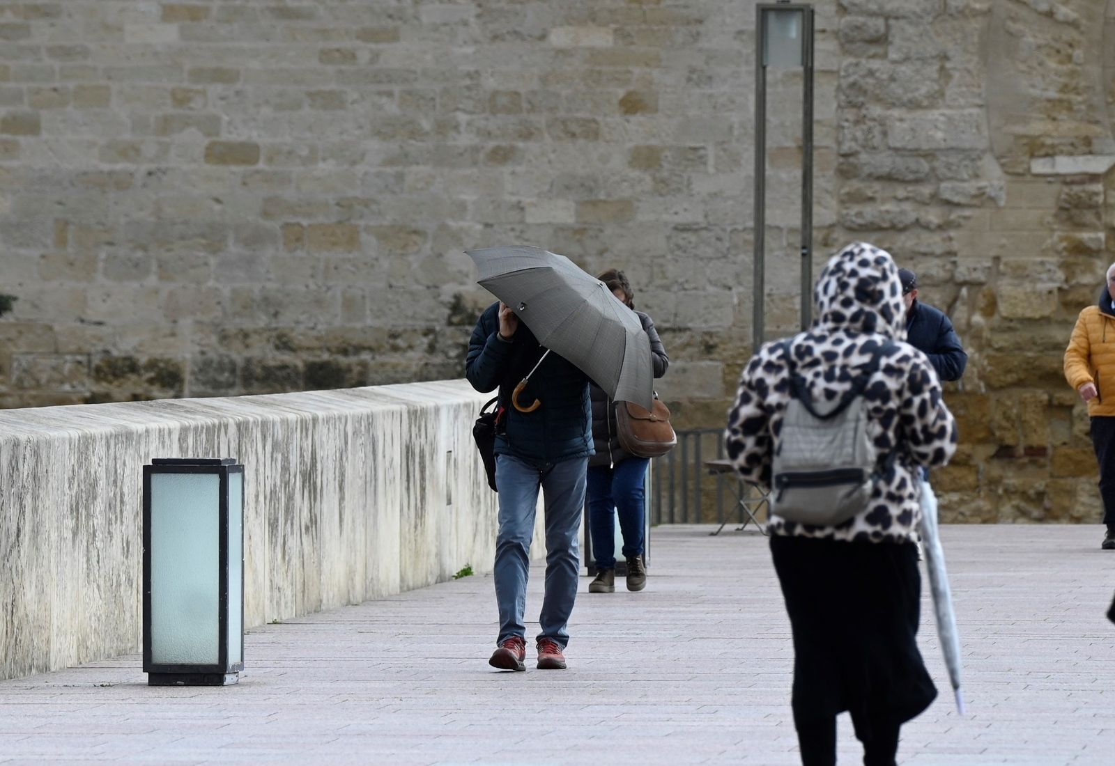 El paso de la borrasca 'Herminia' por Córdoba, en imágenes