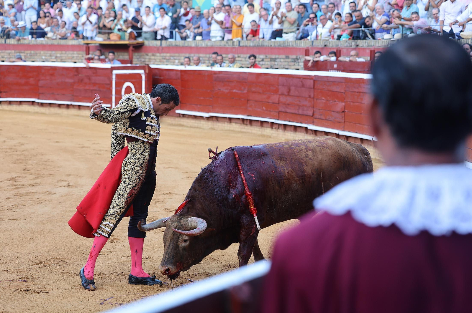 Toros La Merced 2025: Imágenes de la corrida de David de Miranda, Marco Pérez y Borja Jiménez