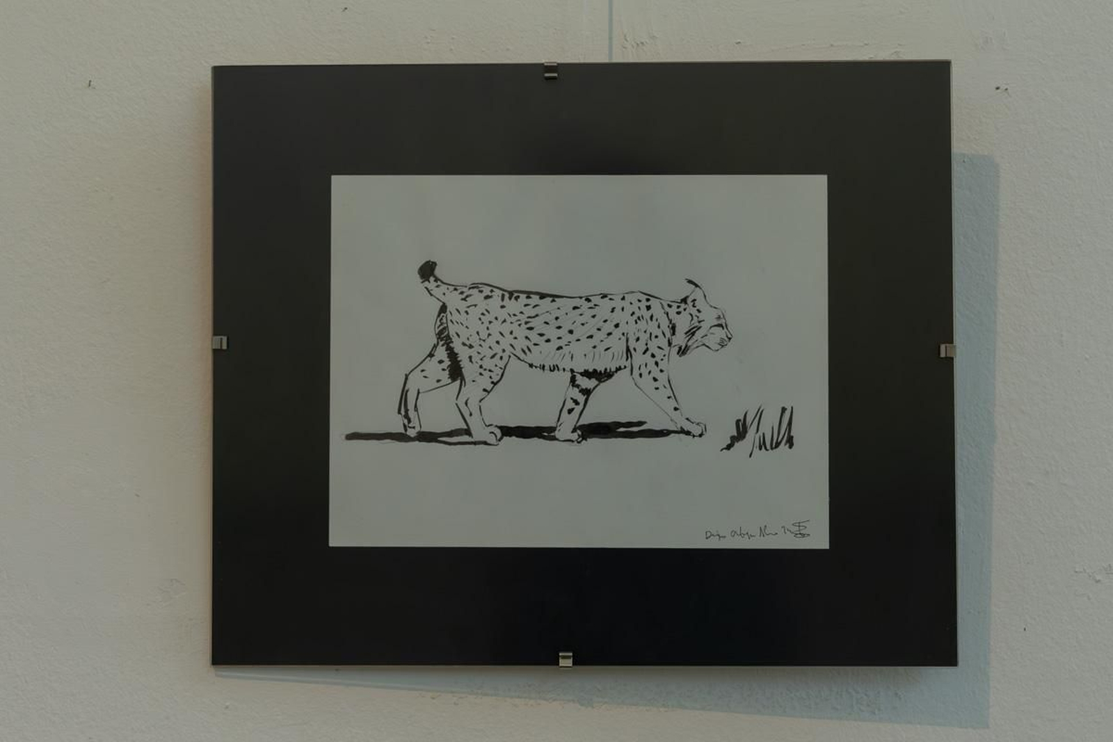 Exposición Los pinceles del lince ibérico, en imágenes