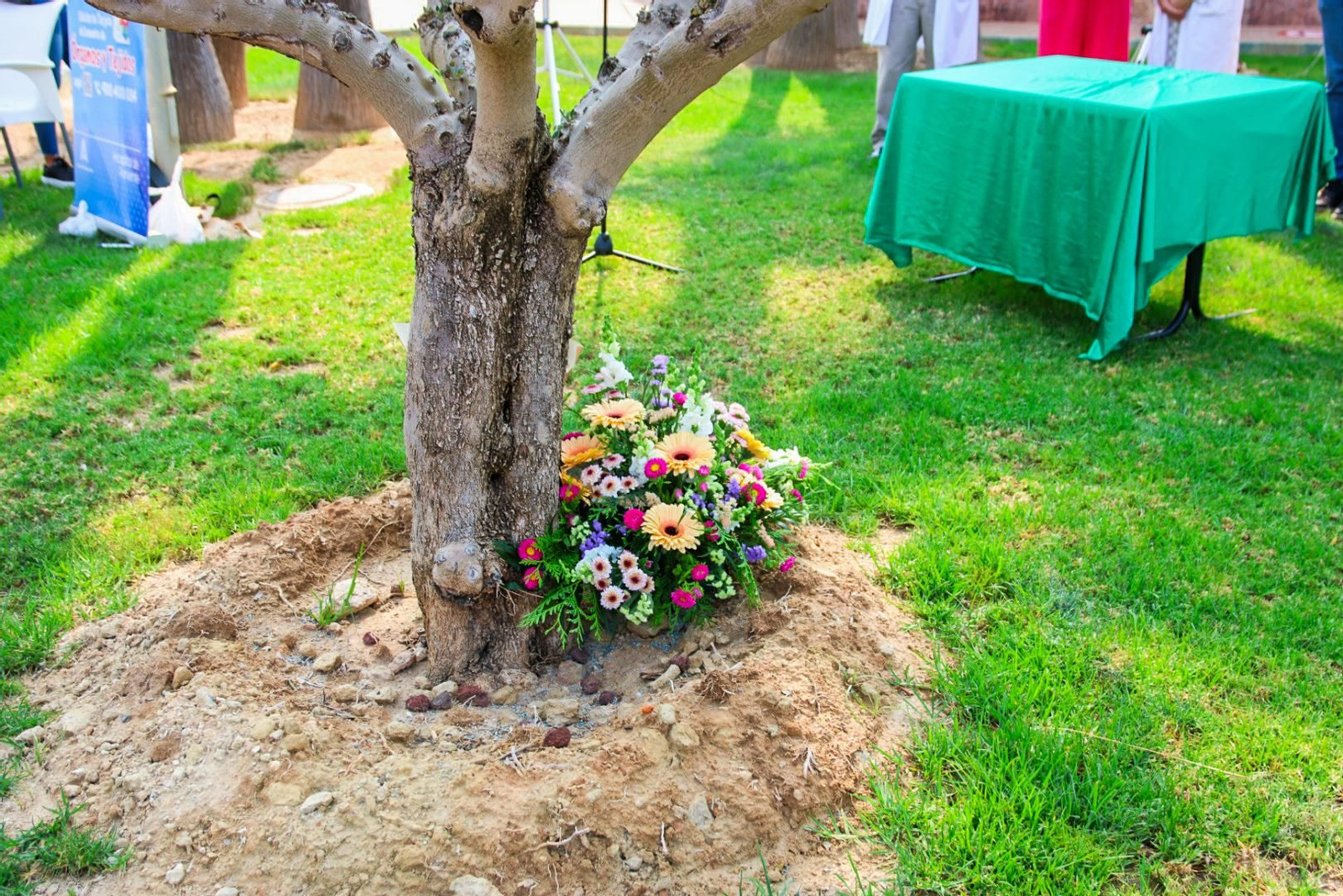 Imágenes del homenaje a los donantes de órganos y tejidos en el Hospital de Poniente