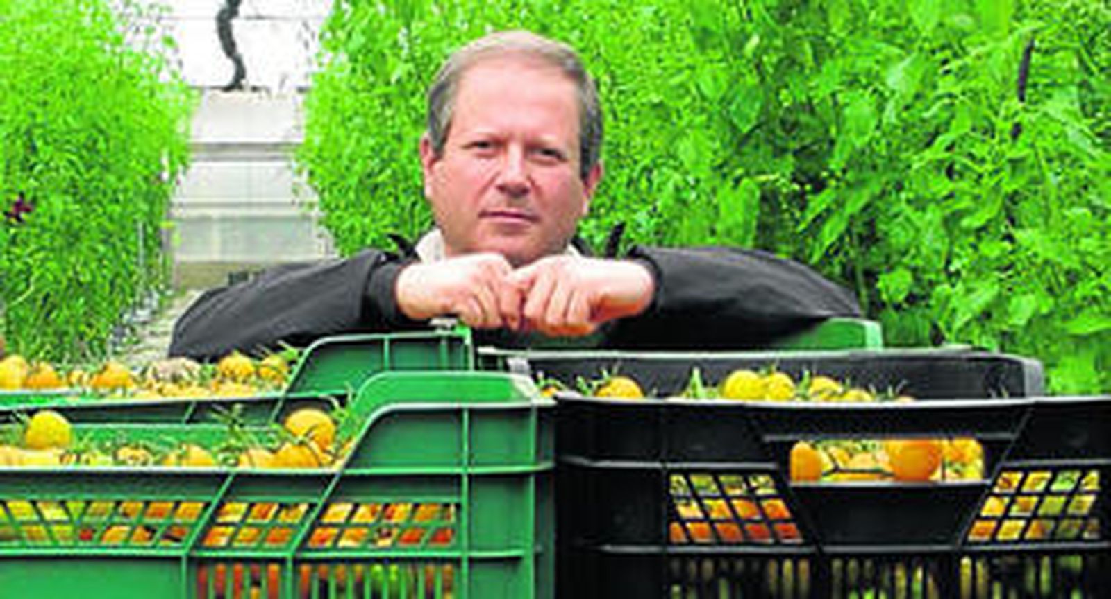 Javier Villegas en una de las fincas en que Koppert desarrolla su actividad.