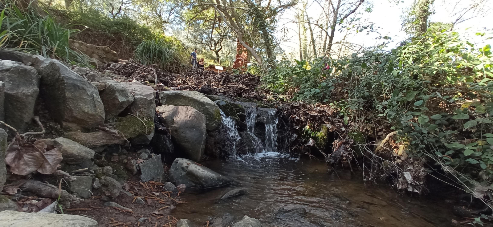Las imágenes de la ruta de la cascada de Jollarancos y bosque de las letras