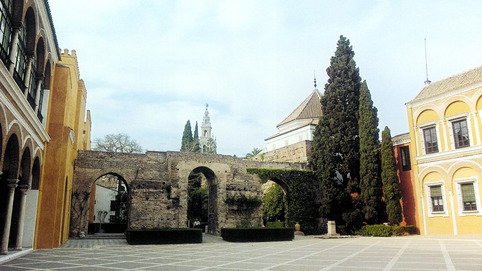 Cipreses del Patio de la Montería.
