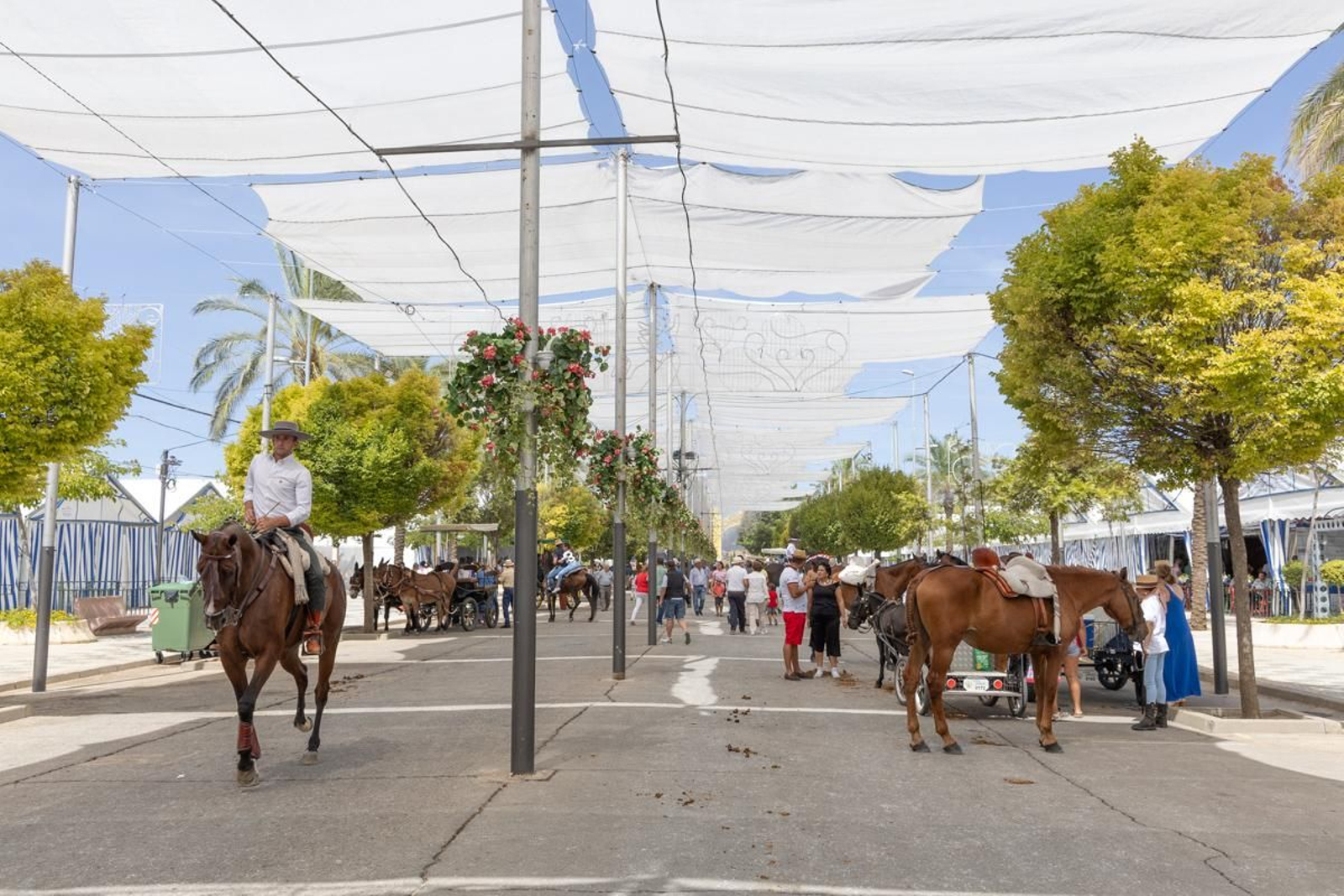 Feria y fiestas en honor a San Eufrasio, Andújar, en imágenes