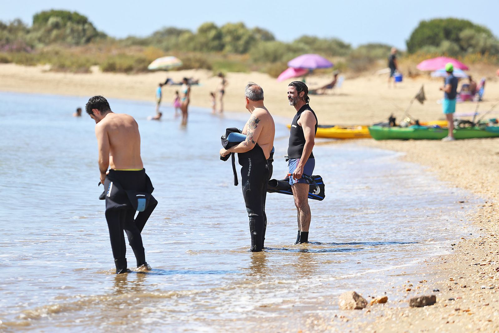 Imágenes de la gran recogida de residuos abandonados en el marco de la octava edición de '1m2 contra la basuraleza'. En la playa de la Canaleta.