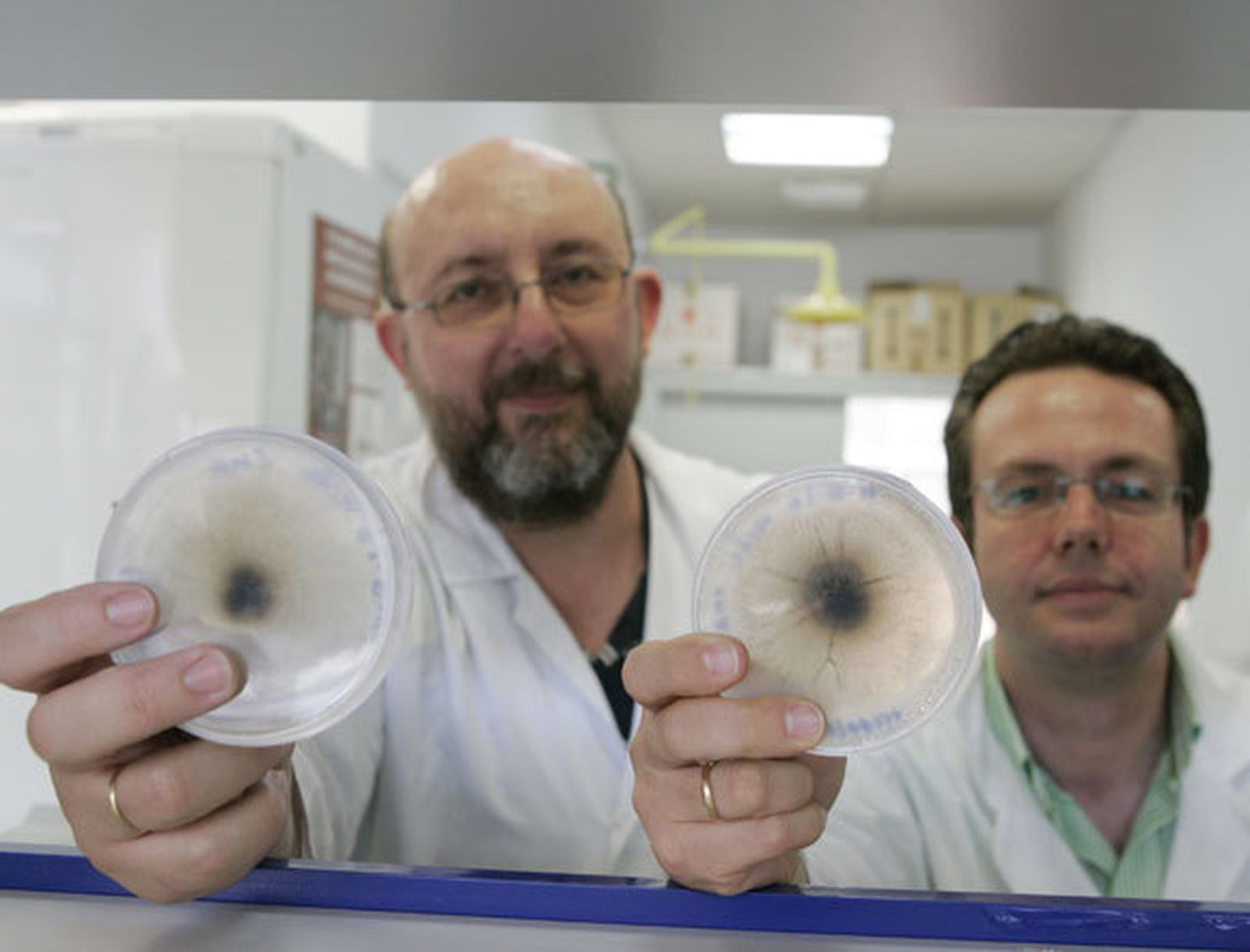 Vino con buena madera