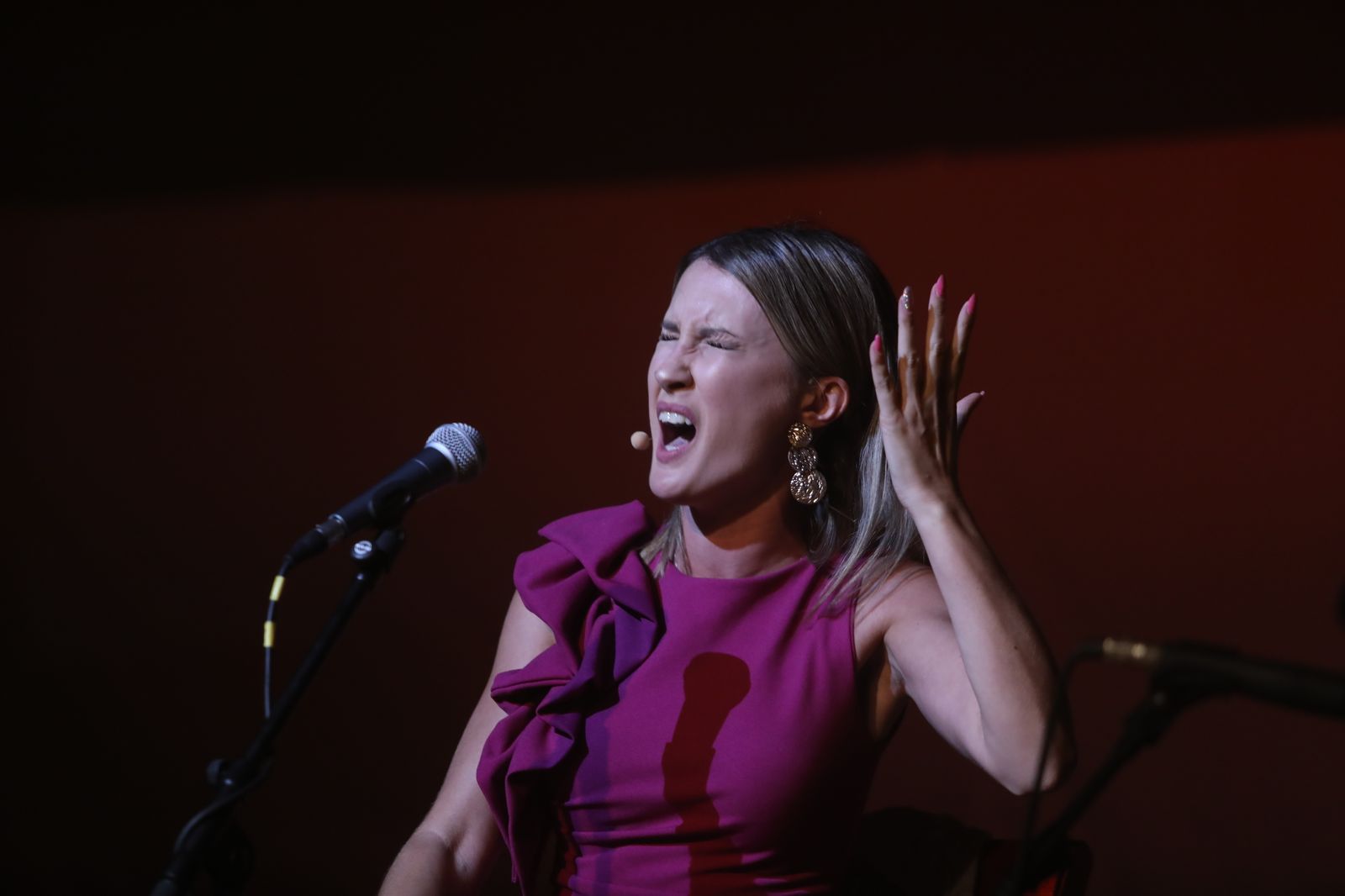 La noche flamenca en el Parque de San Fernando, en imágenes