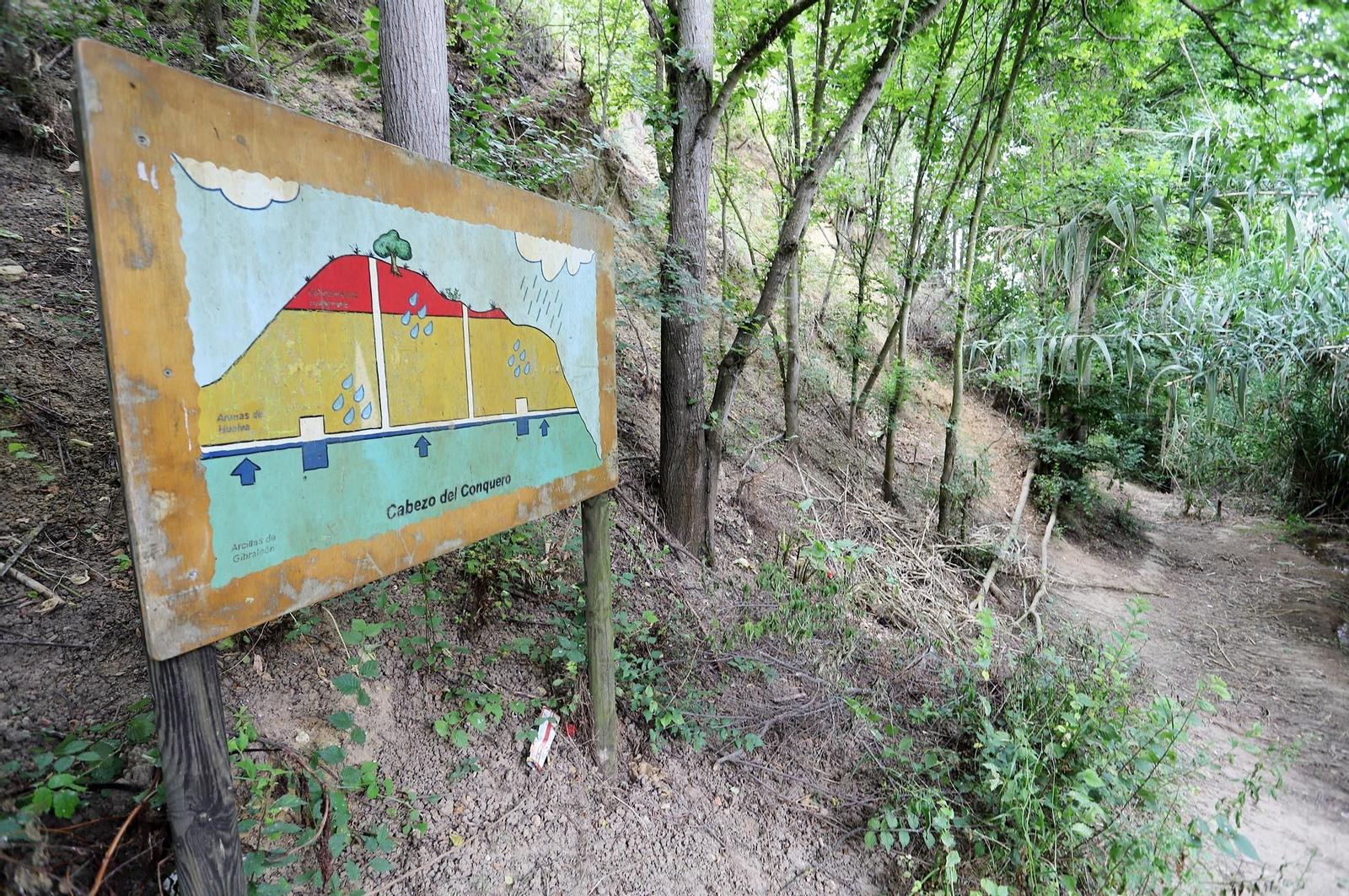 Imágenes del estado de abandono en el que se encuentra la Fuente Vieja y su entorno
