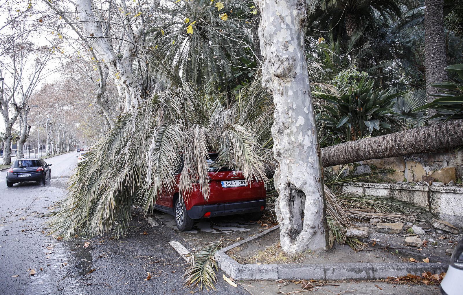 El temporal en Málaga, en imágenes