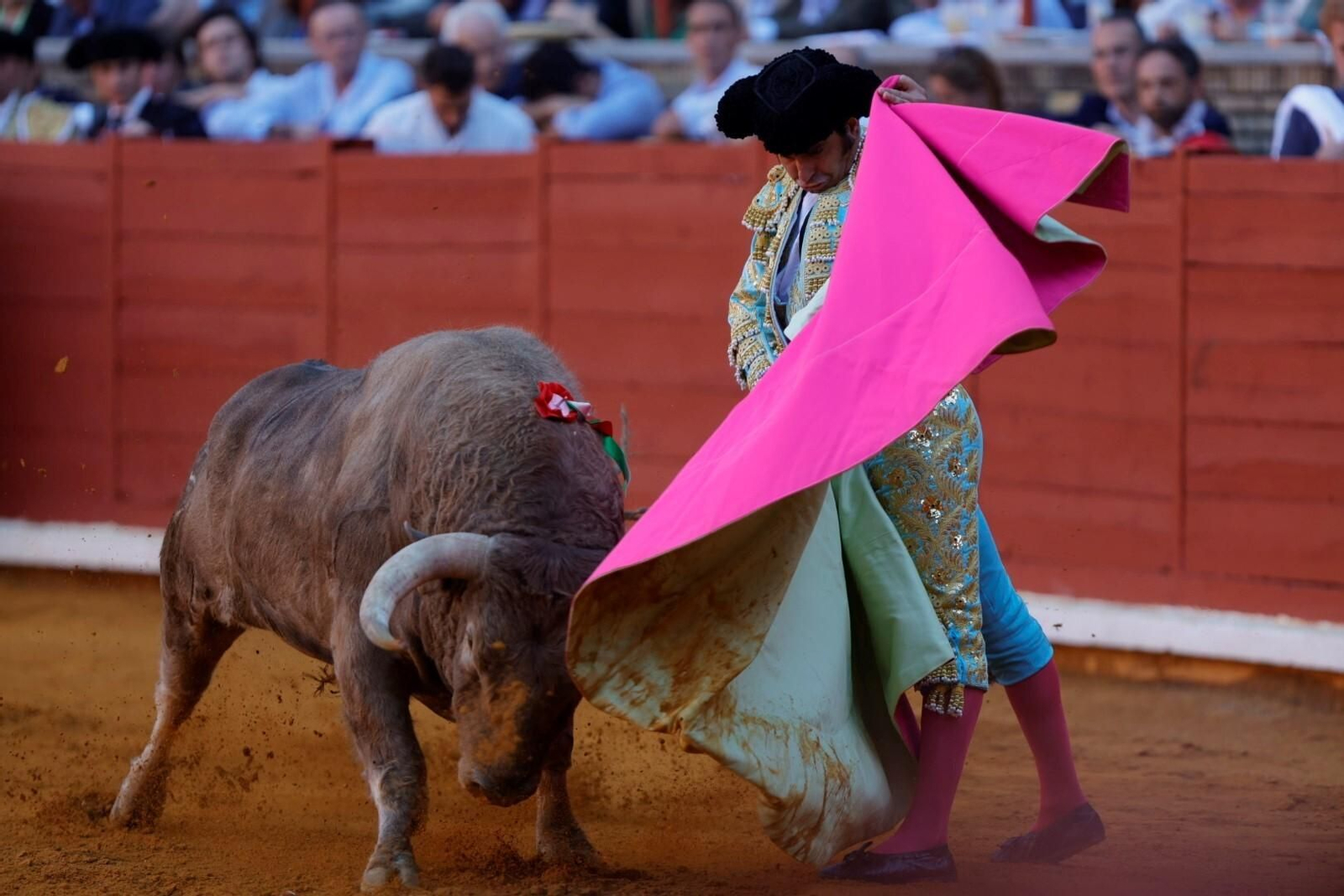 Las imágenes de la corrida de Ventura, Morante y Román en la Feria Taurina de Córdoba