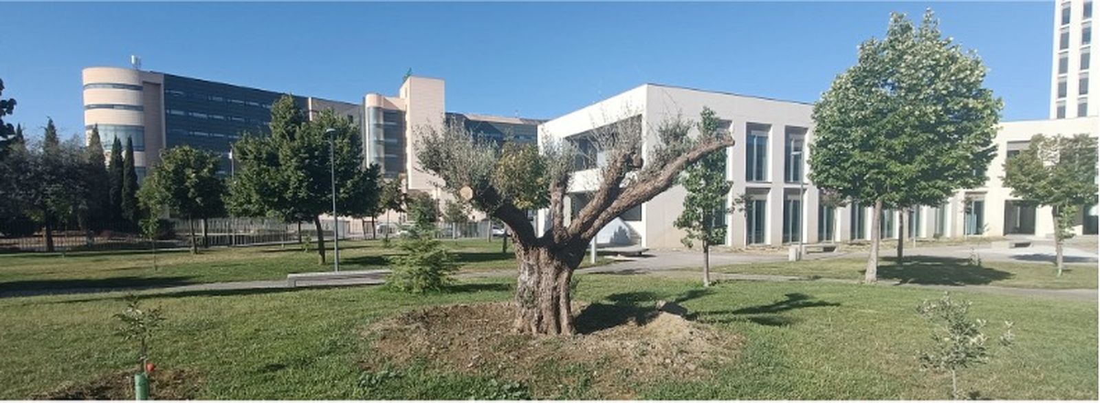 Campus del PTS, en una imagen remitida por la Universidad de Granada.