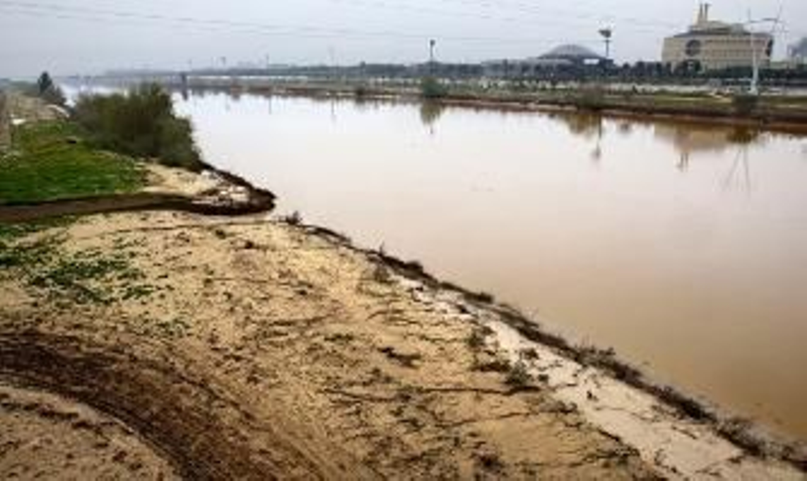 El Consejo de Doñana apoya el informe contra el dragado del Guadalquivir