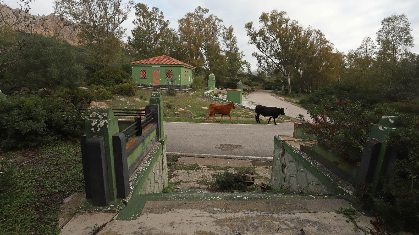 Las mejores fotos de Paloma Alta