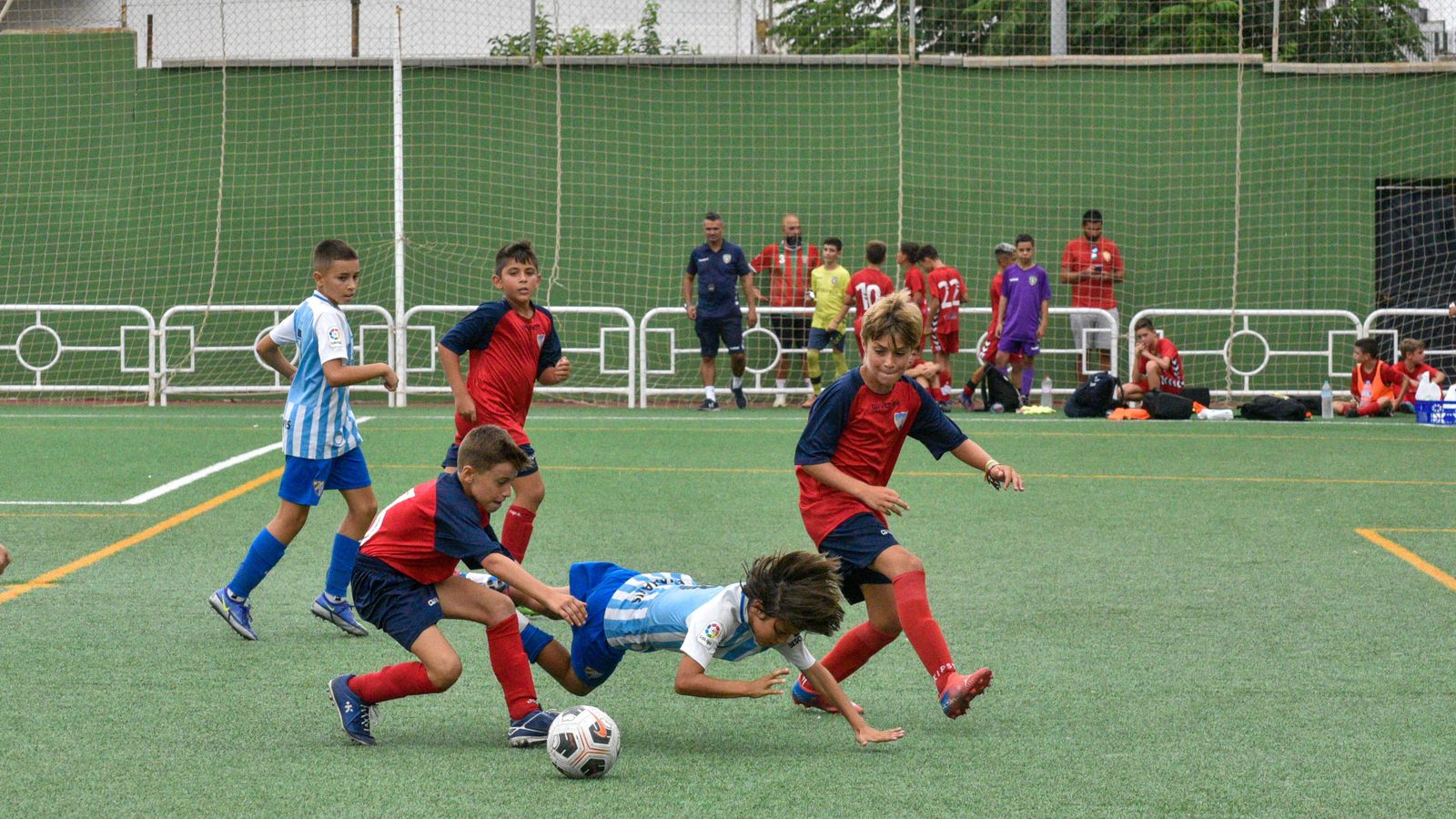 Las fotos del II Memorial Jaime Clavijo de alevines en San Roque