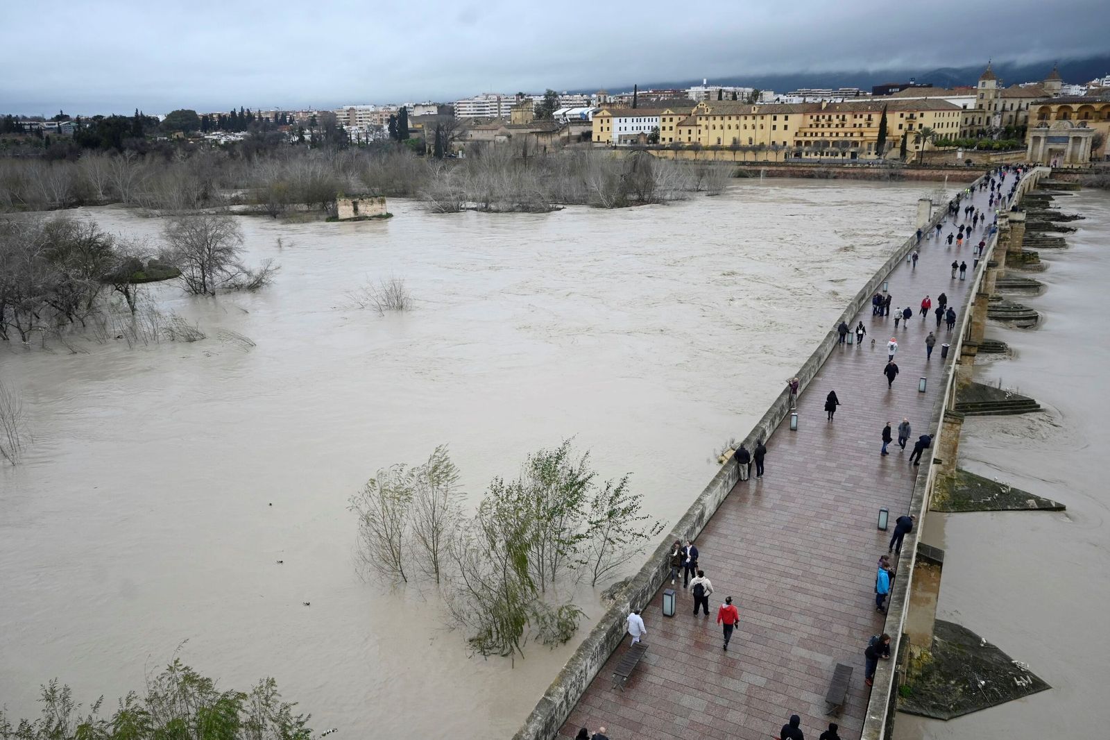 La impresionante crecida del río Guadalquivir: se acerca a los 6 metros a su paso por Córdoba