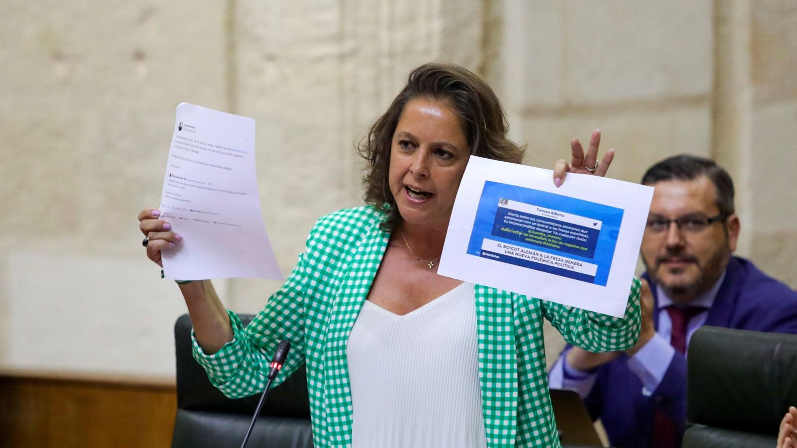 La consejera de Salud critica la campaña de boicot contra las fresas de Huelva.