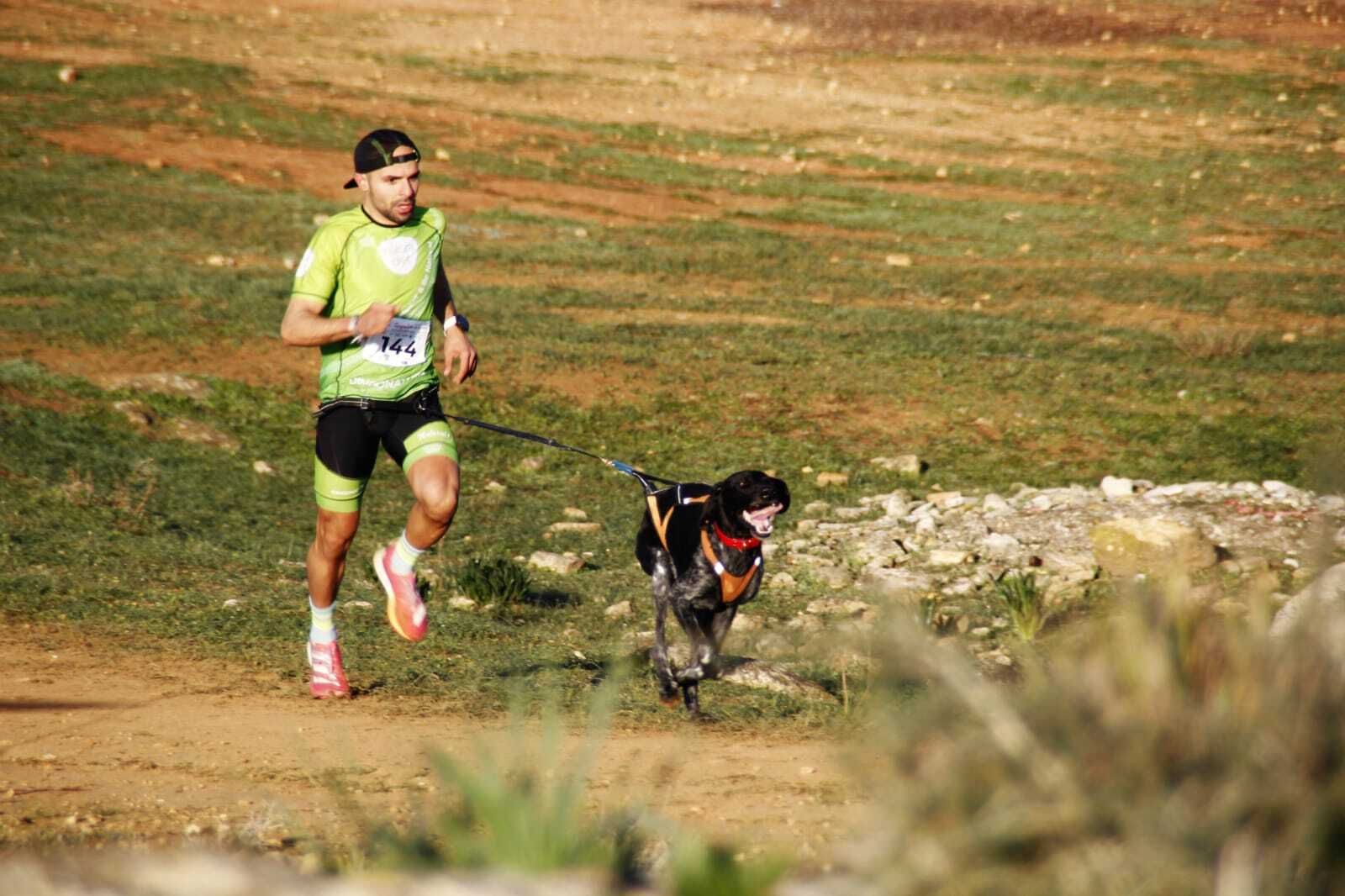Un 'musher' durante la Copa de España de 'Mushing' en Alcalá de Guadaíra.